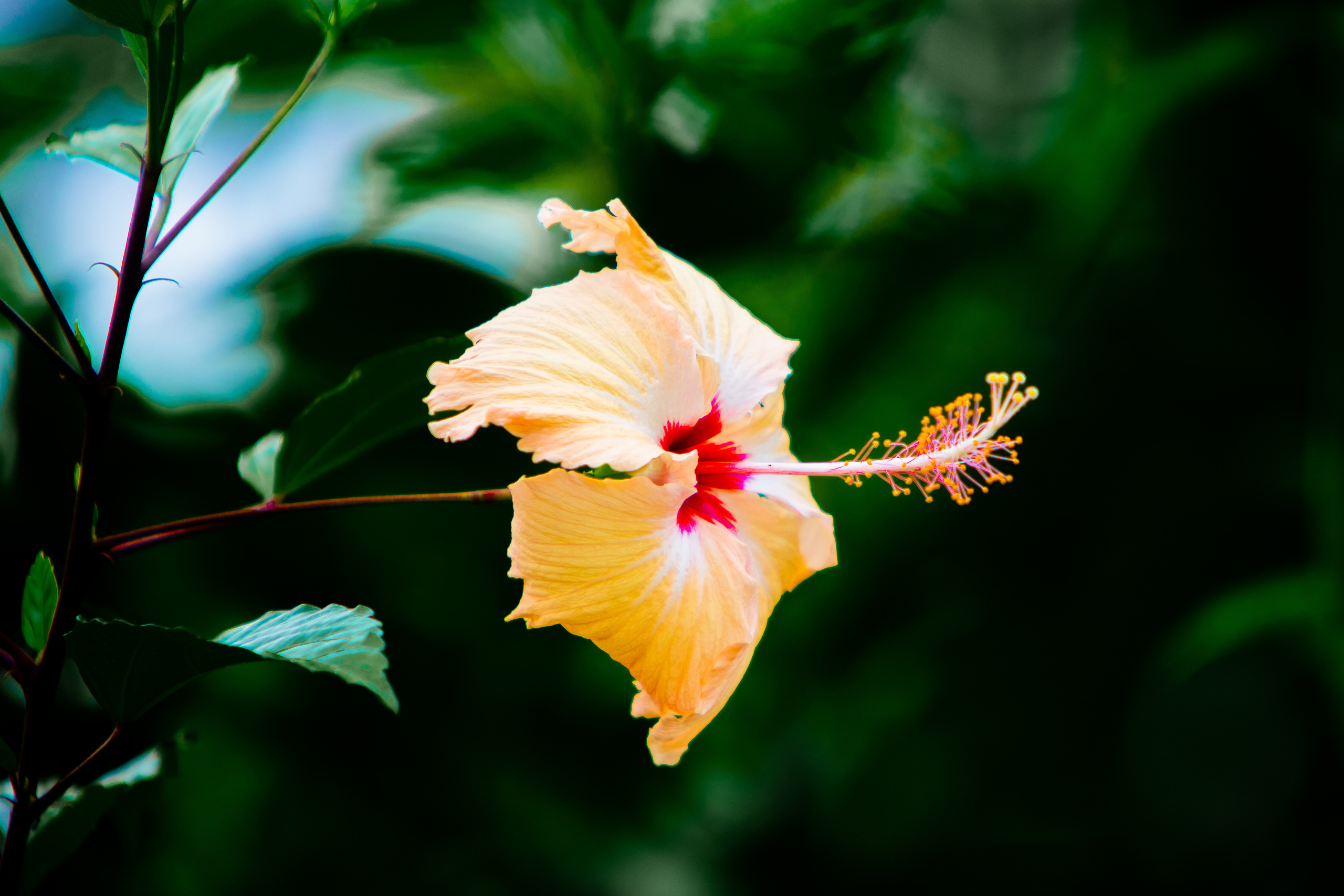 Предметная съемка. OneSnap