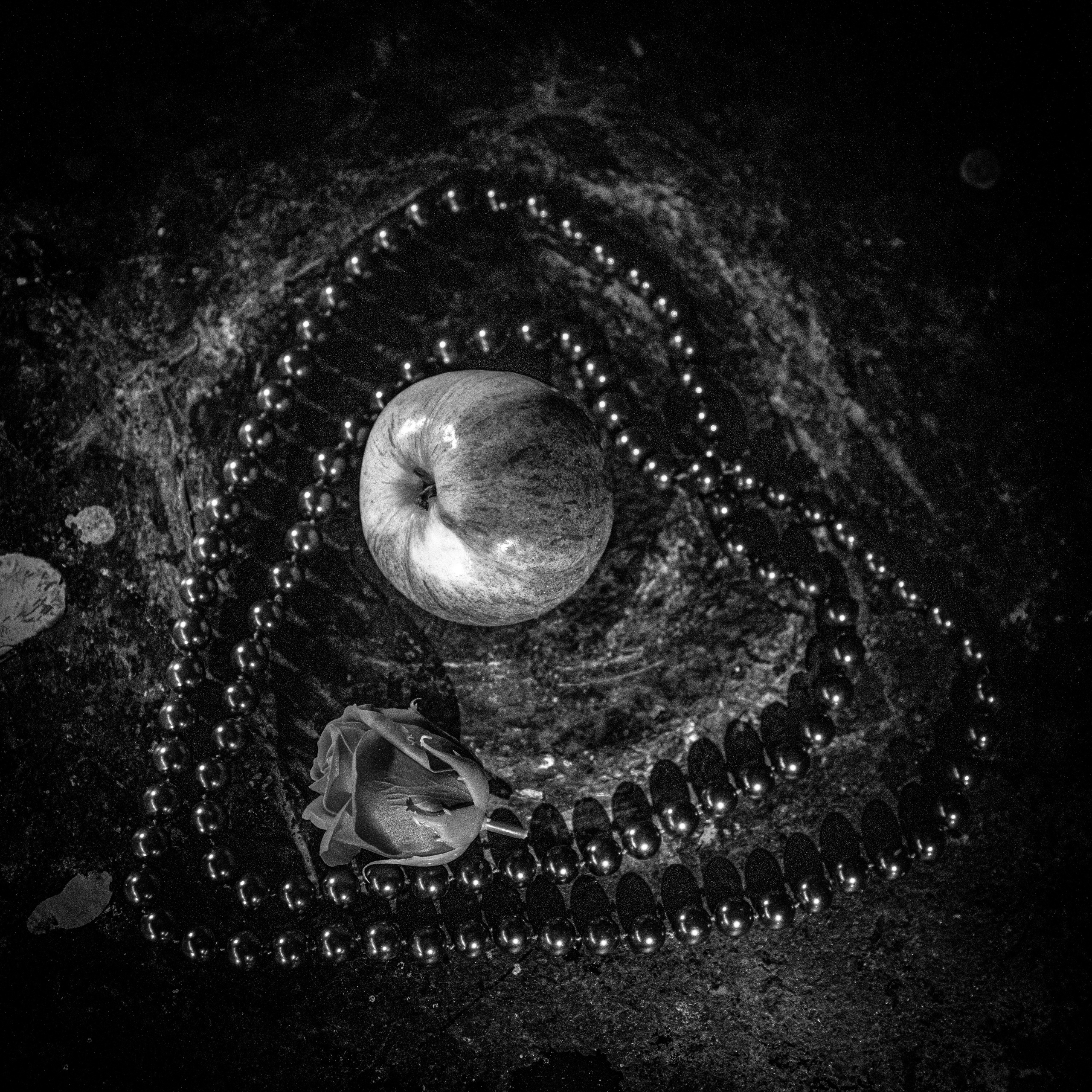 Black & White. OneSnap