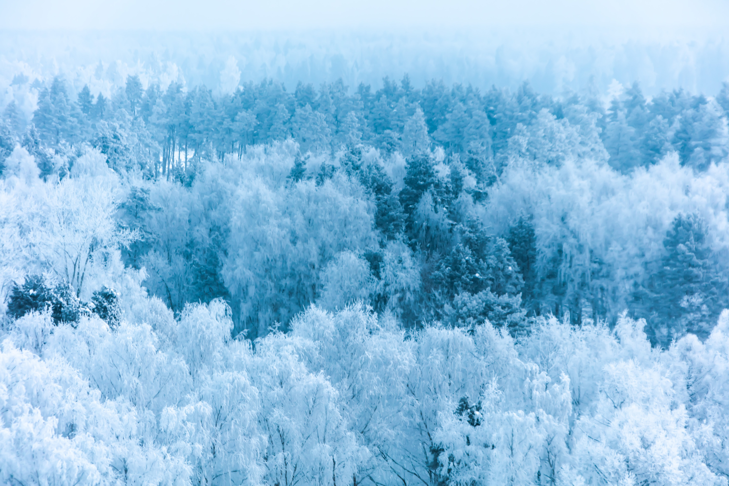 Пейзаж. OneSnap