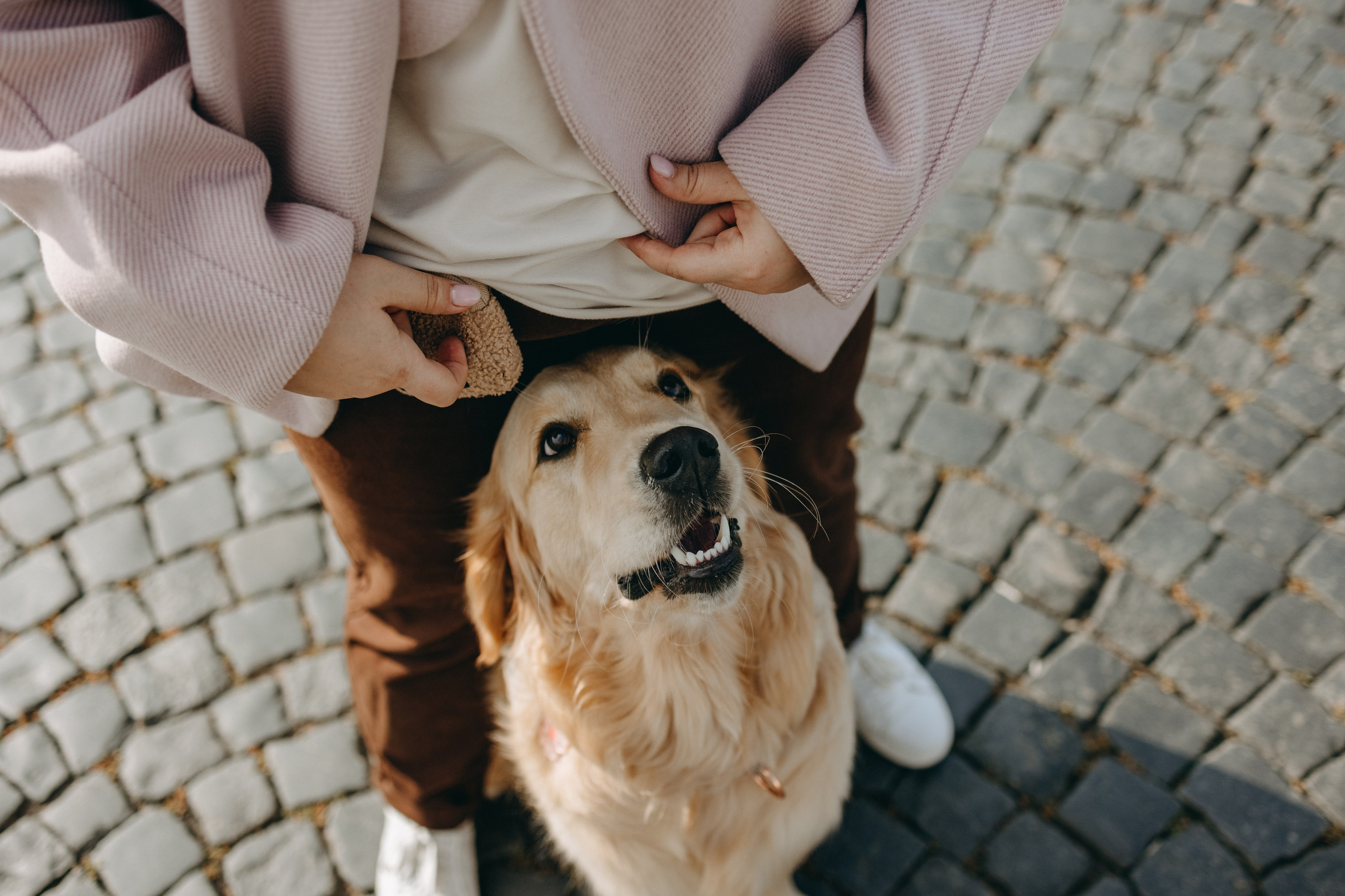 Бетти и ее семья. Фотограф — Анималист | Санкт-Петербург