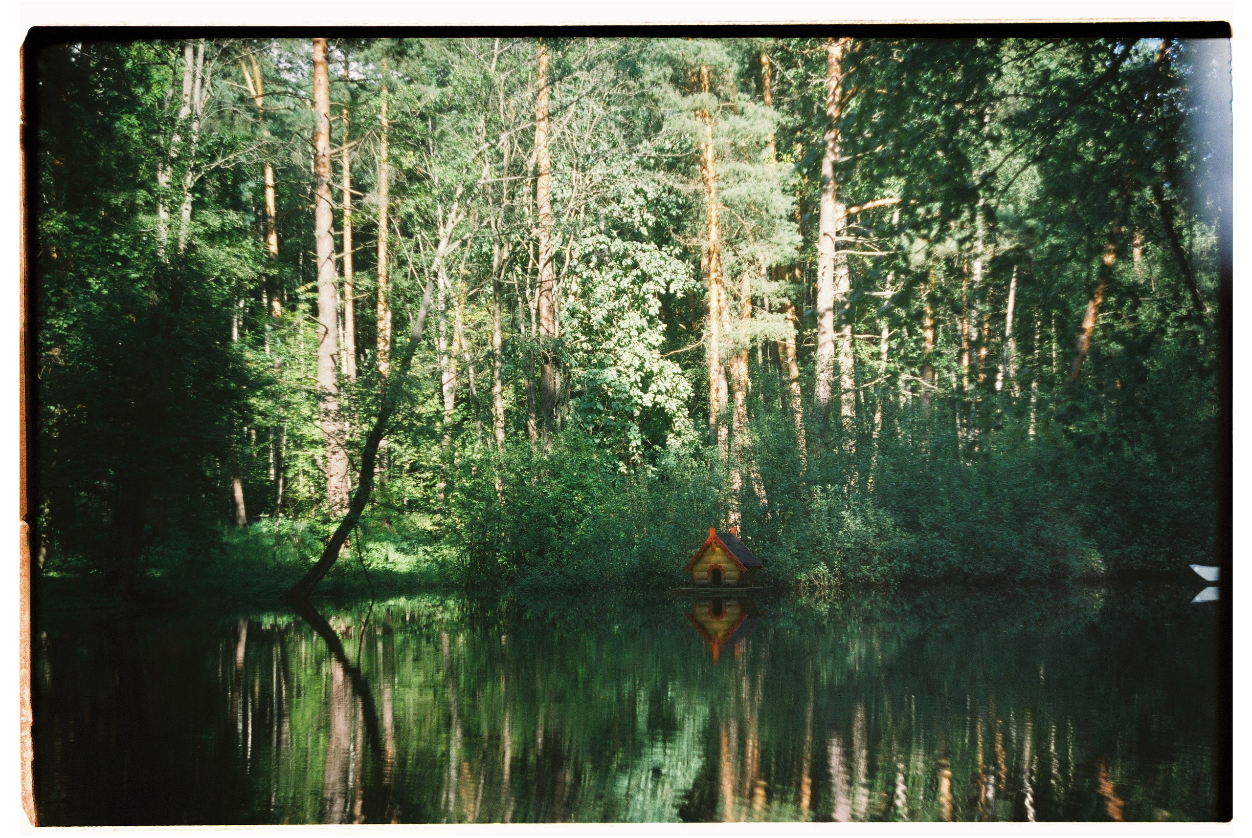 Пленочные кадры. Свадебный фотограф в Москве Кристина Чехова