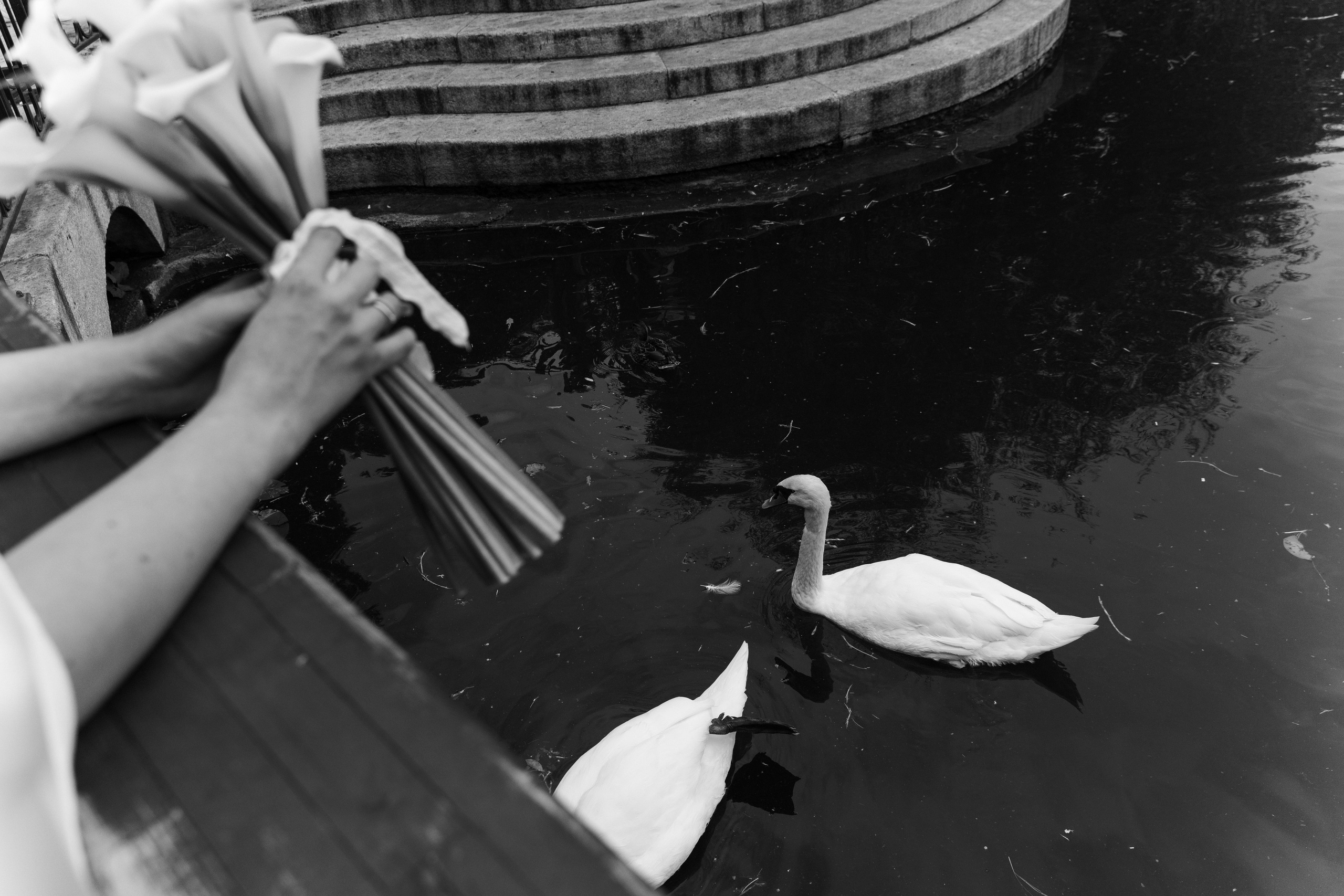 Дмитрий & Динара