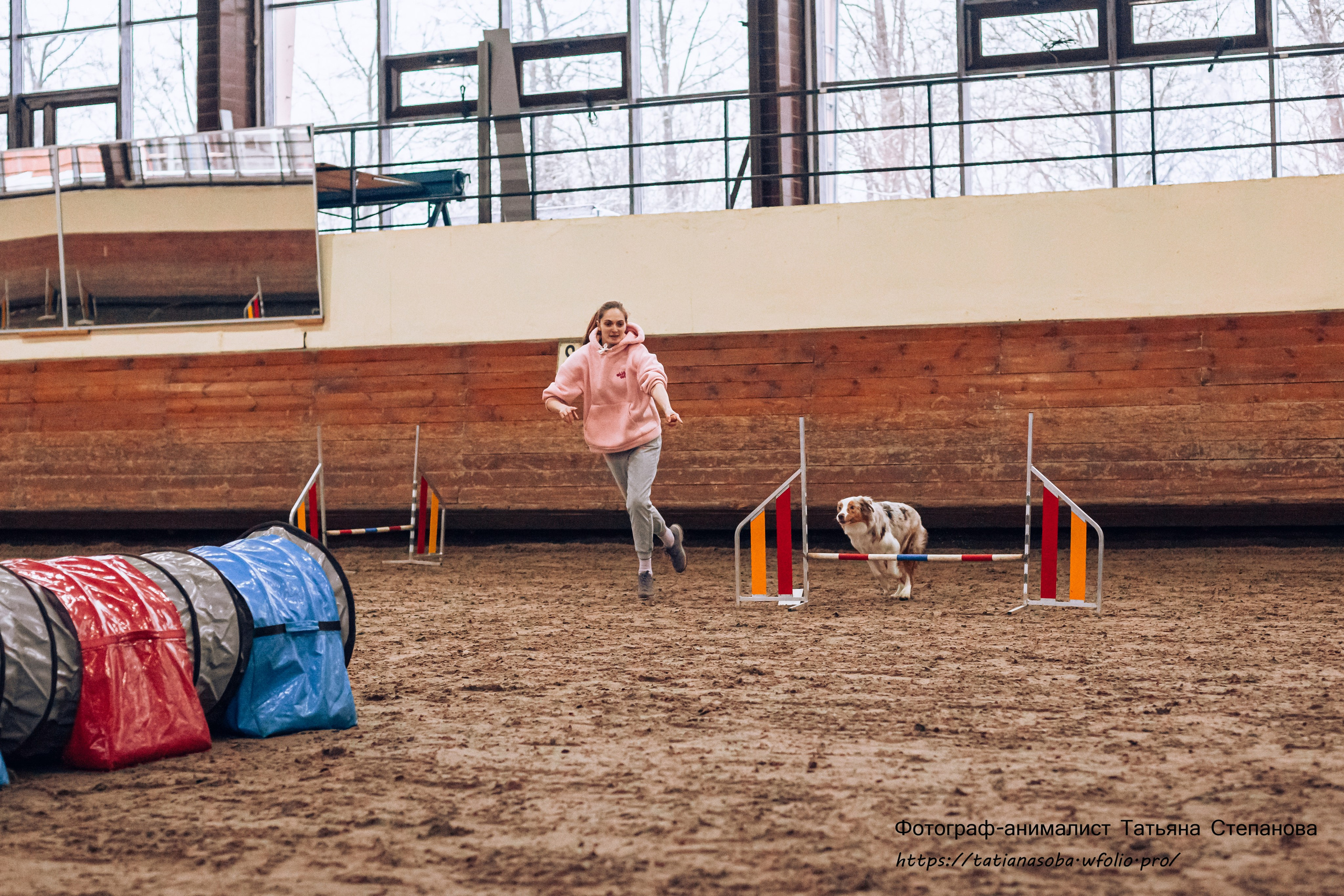 Соревнования по Аджилити 25.02.2024. Фотограф-анималист Татьяна Степанова