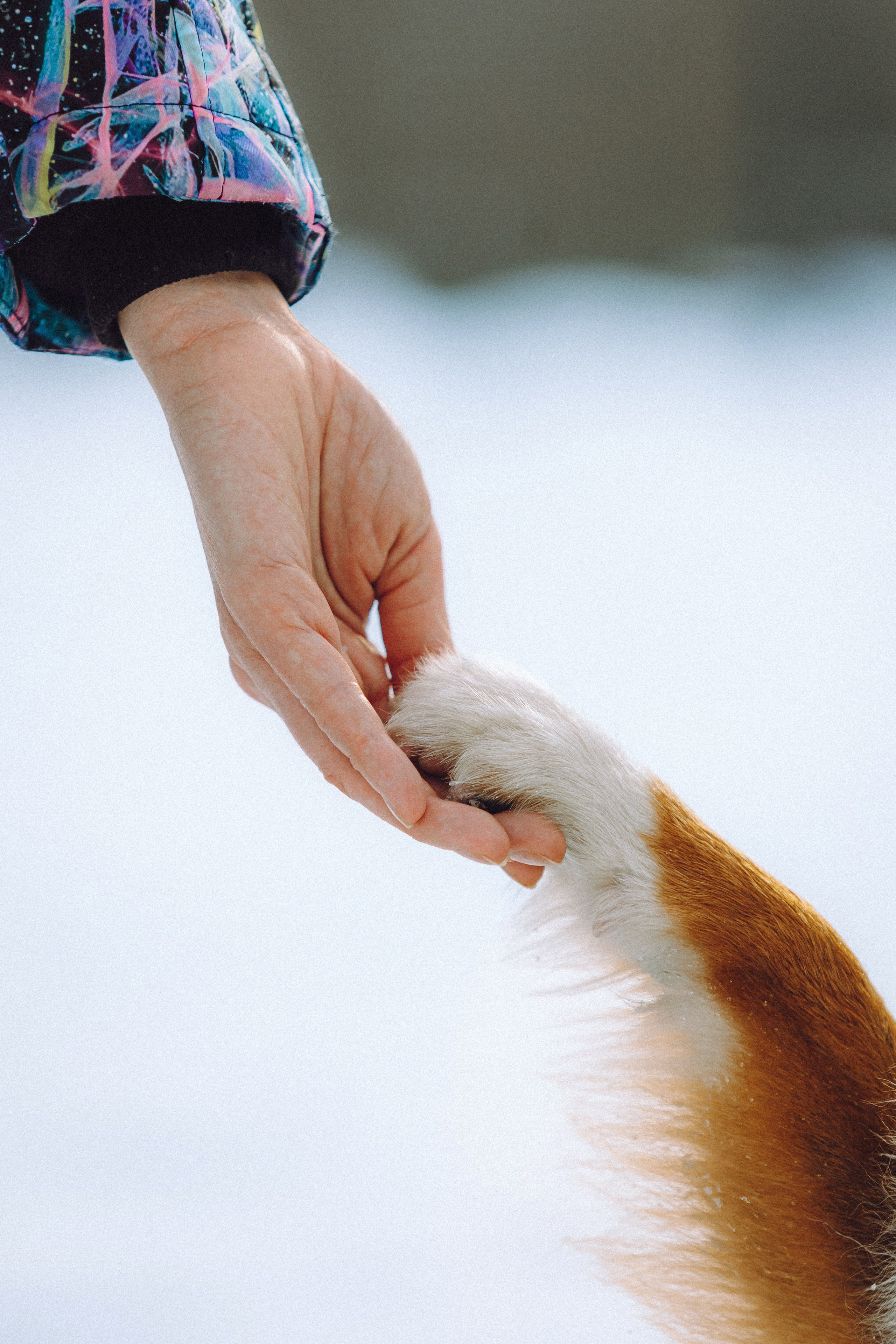 Таня, Ваня и Гром