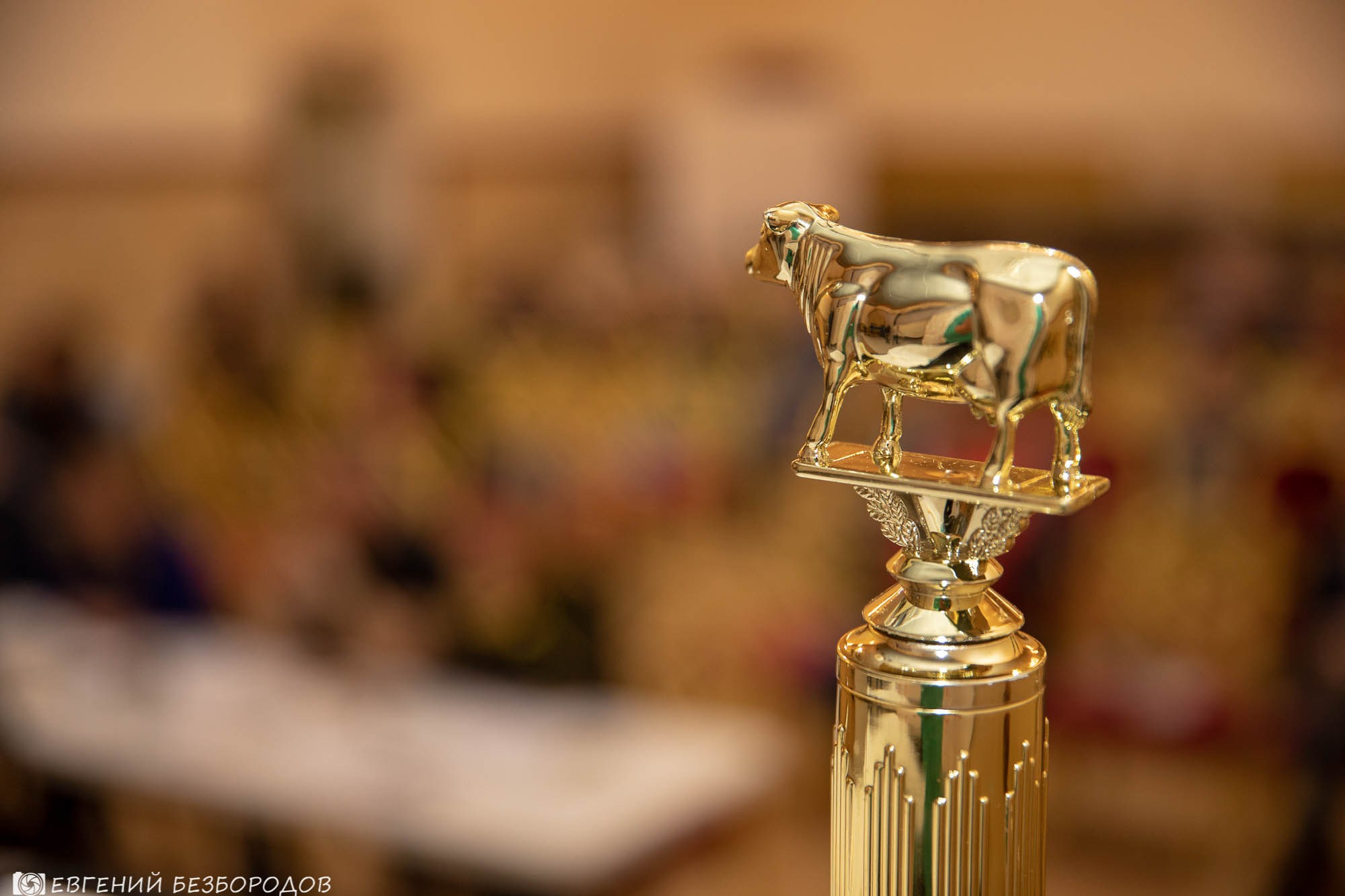 ФВН 2018. Софрино |17-18.11.2018. Галерея Фантим