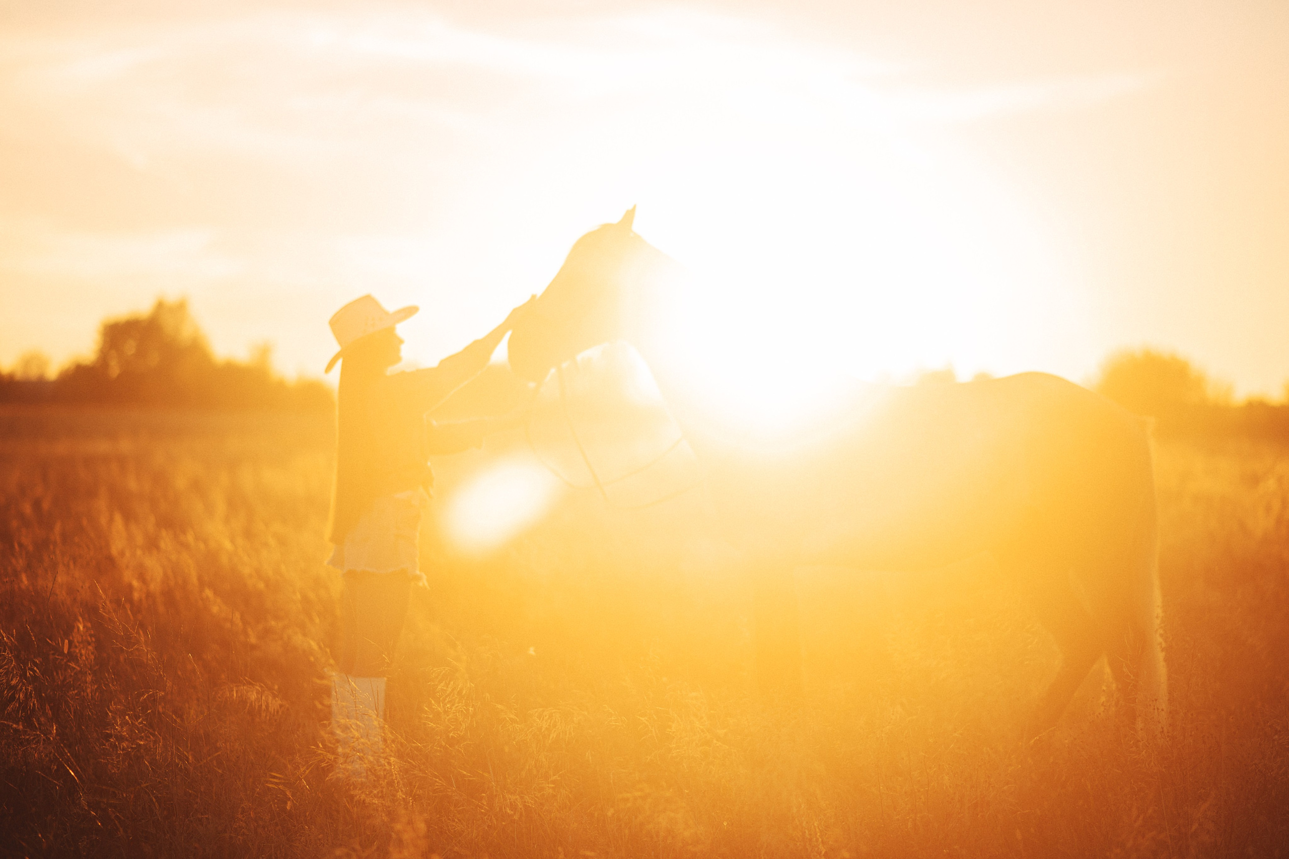 Вероника и Дакар — 23.09.2024. Фотограф — Анималист | Анна Абрамова