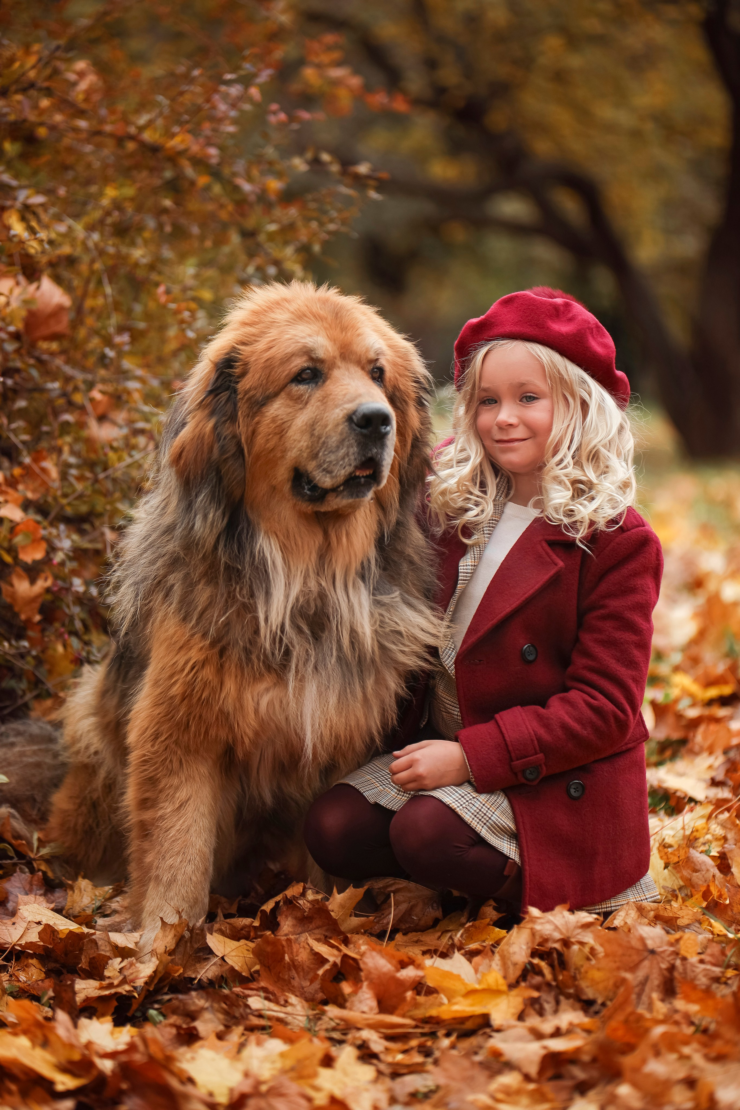 Парк Коломенское с Мастифами. Детский и семейный фотограф г. Москва Оксана Катаджи