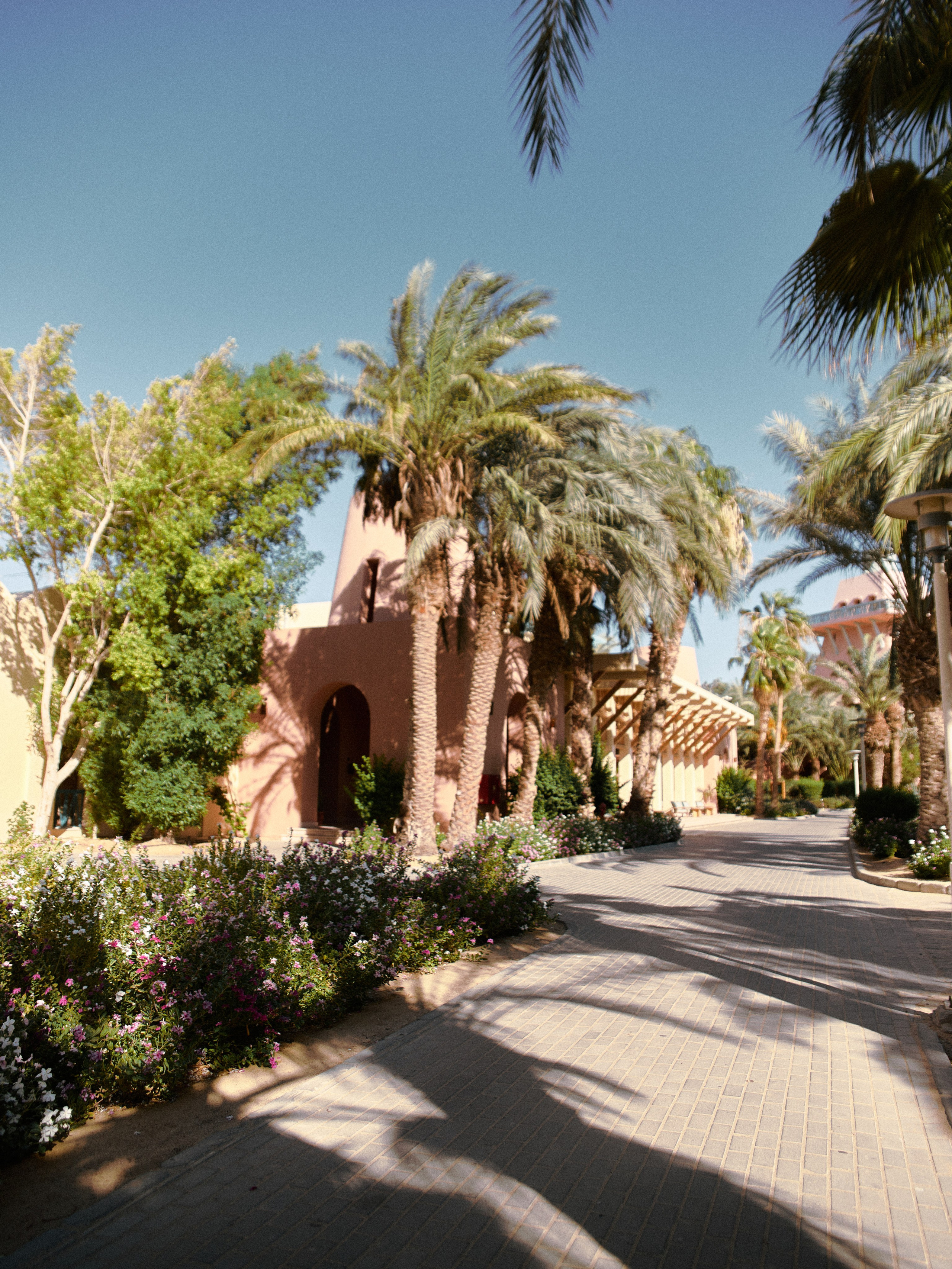 Улицы. Jorgis Talè — photographer, kind person, teacher of arts and other mag