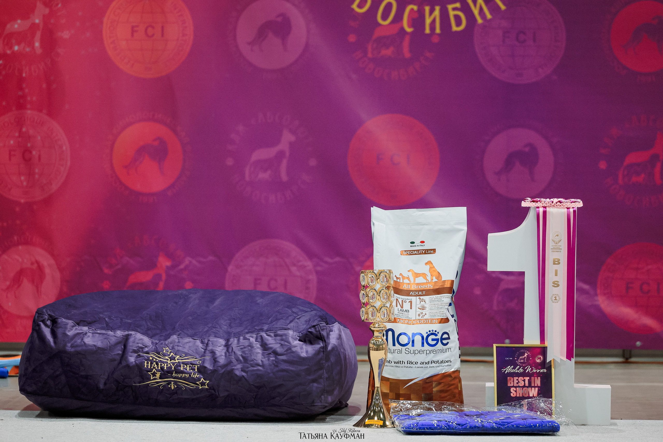 28-29.03.2026 Рейтинговая выставка в Новосибирске. Фотограф Анималист из Новосибирска Татьяна Кауфман