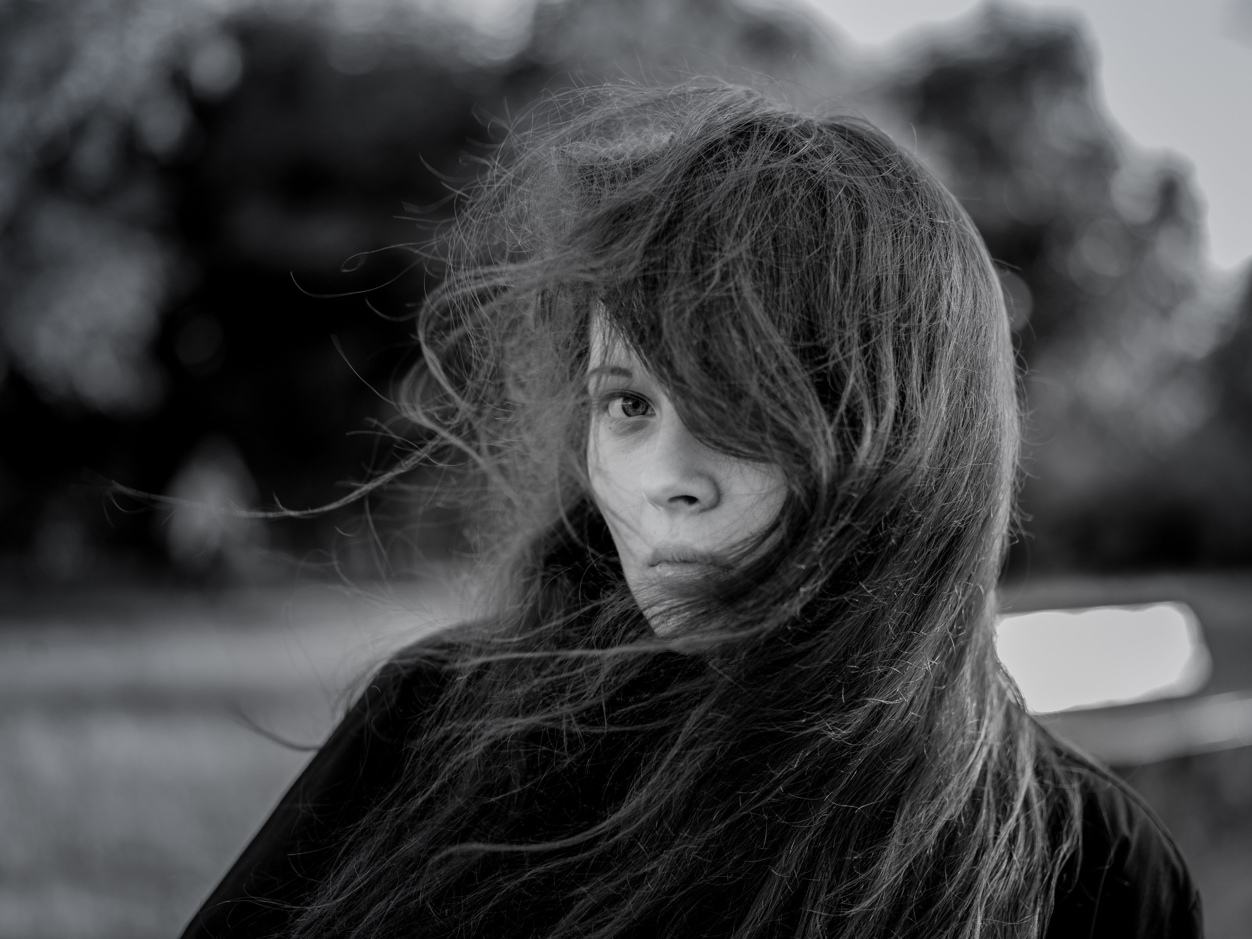 DIGITAL. Director of photography