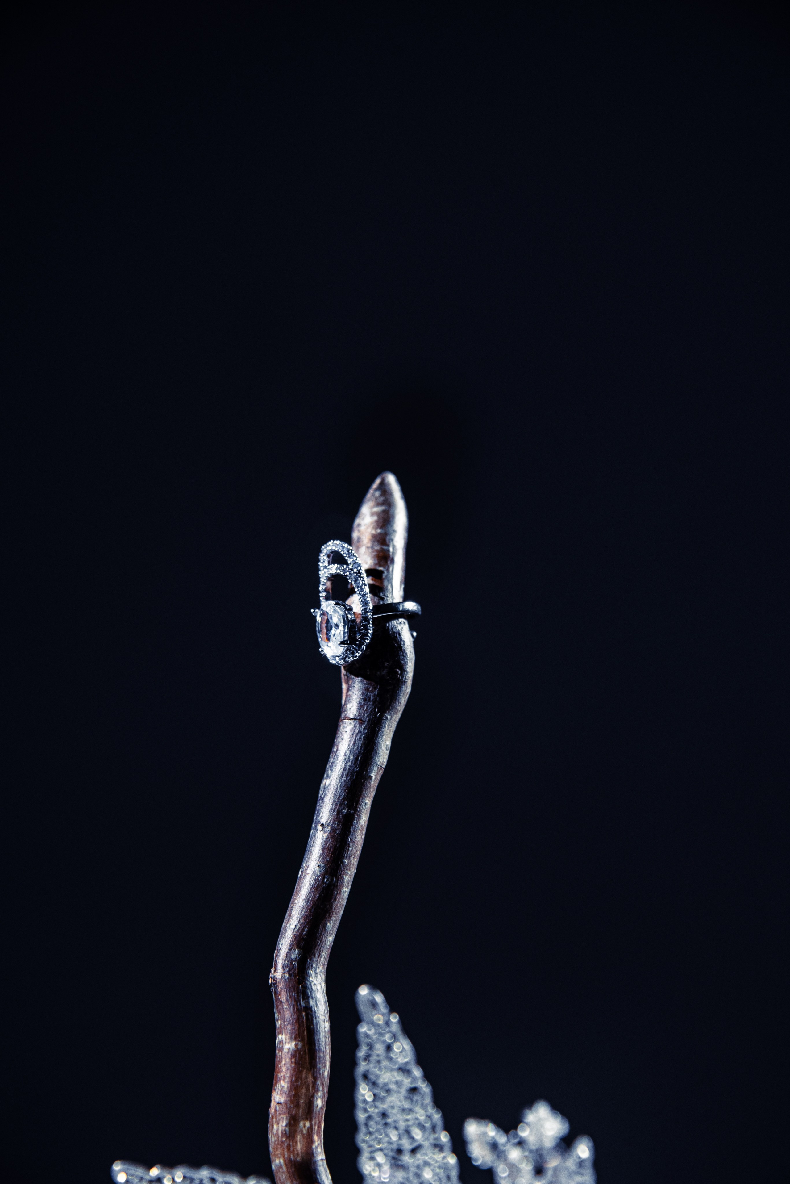 Для бренда. Фотограф Хабаровск