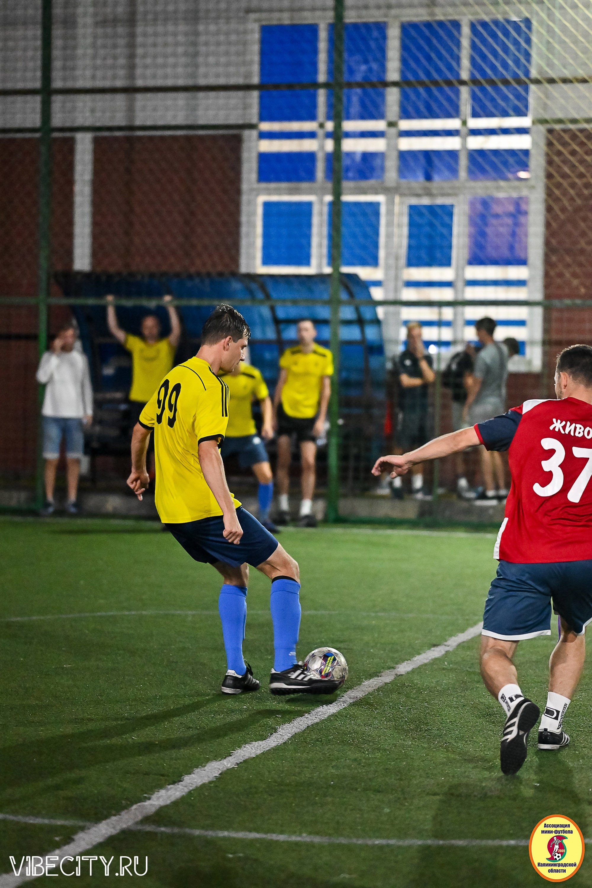 ФИНАЛЬНЫЕ ИГРЫ КУБКА МИНИ-ФУТБОЛЬНОЙ ЛИГИ И КУБКА КОРПОРАТИВНОЙ МФЛ 2025. VIBECITY.RU Вайб Сити Ру Фоторепортажи Фотоотчеты Калининград