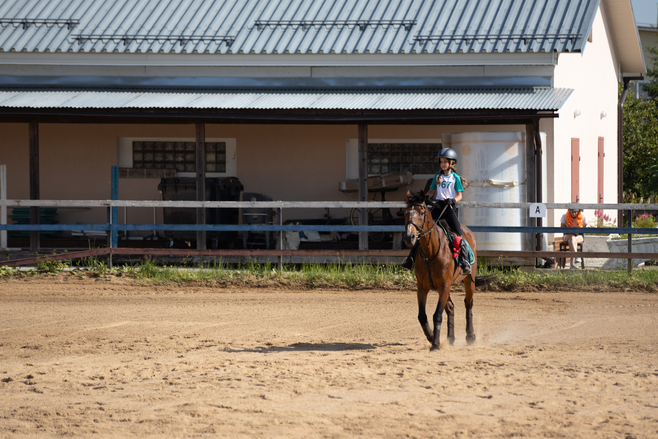 Конюшня. Фотограф в Москве и Истре