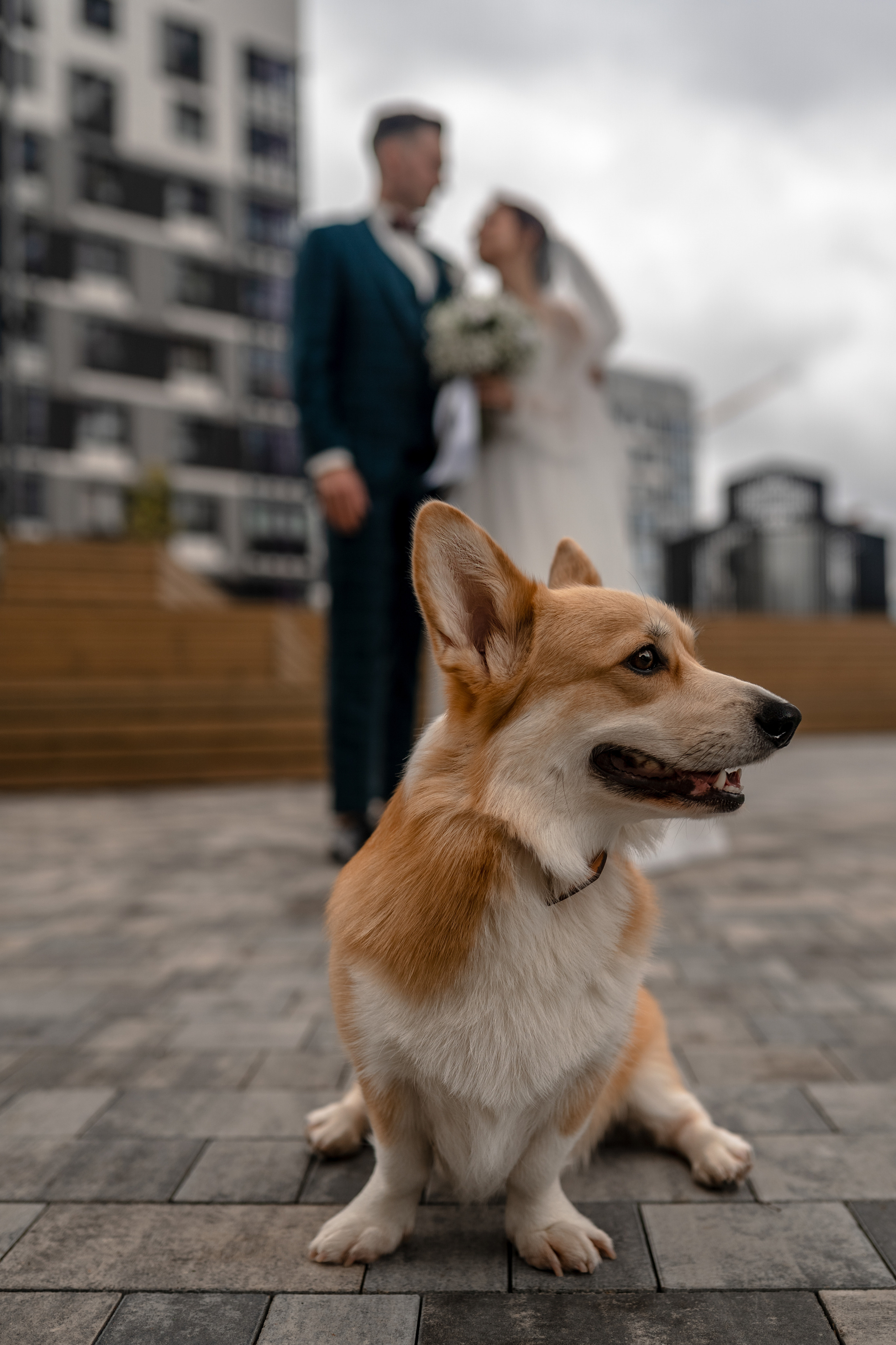 Анна и Иван. Главная