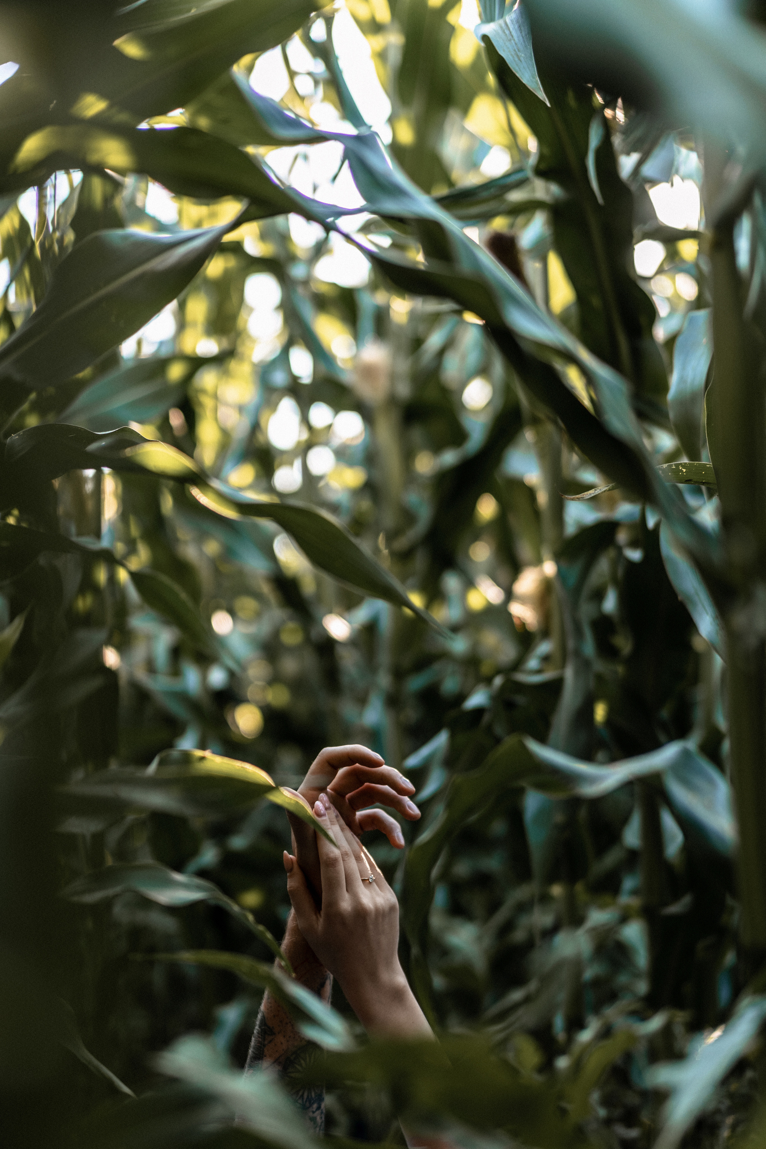 Ваня и Аня. Главная