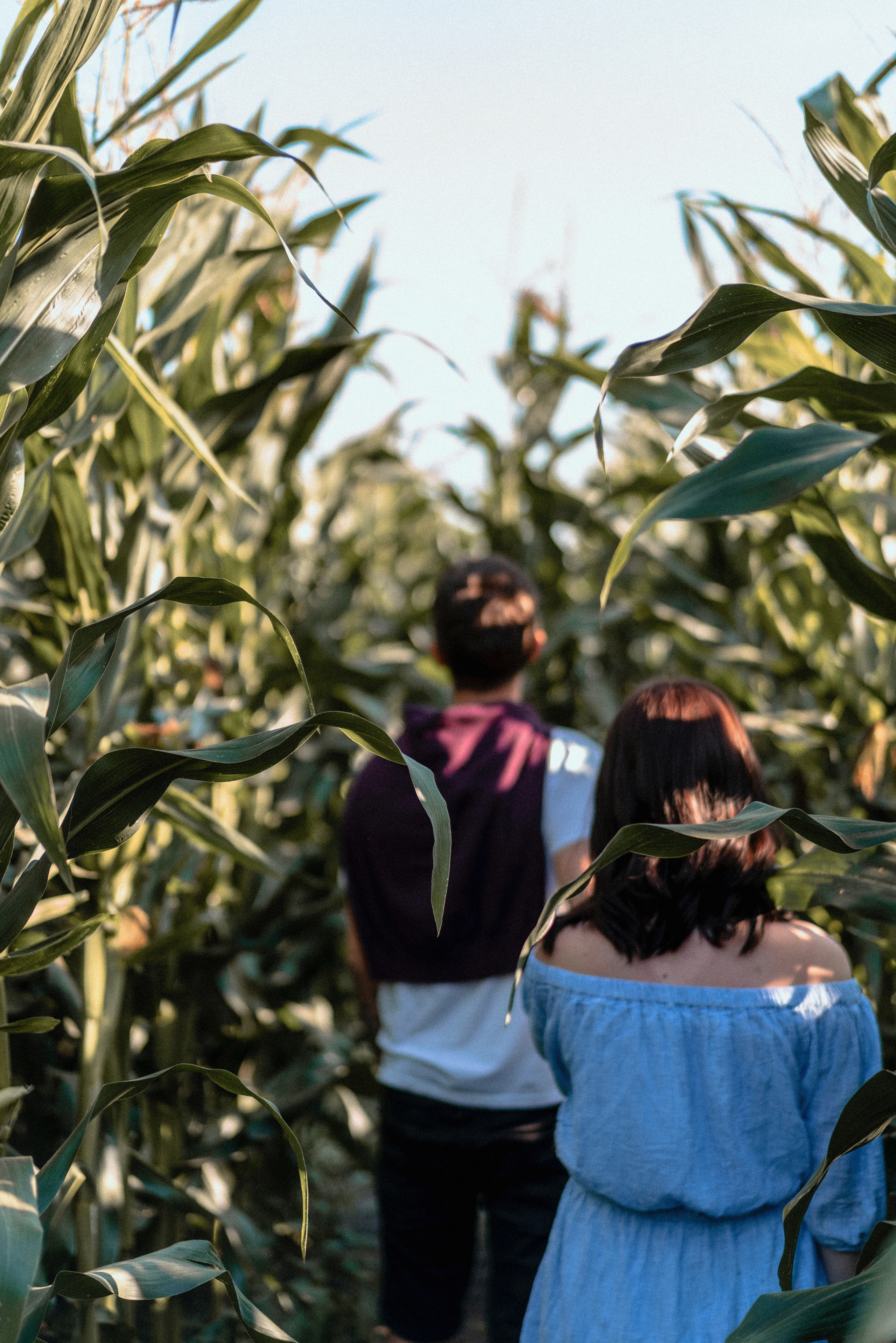 Ваня и Аня. Главная