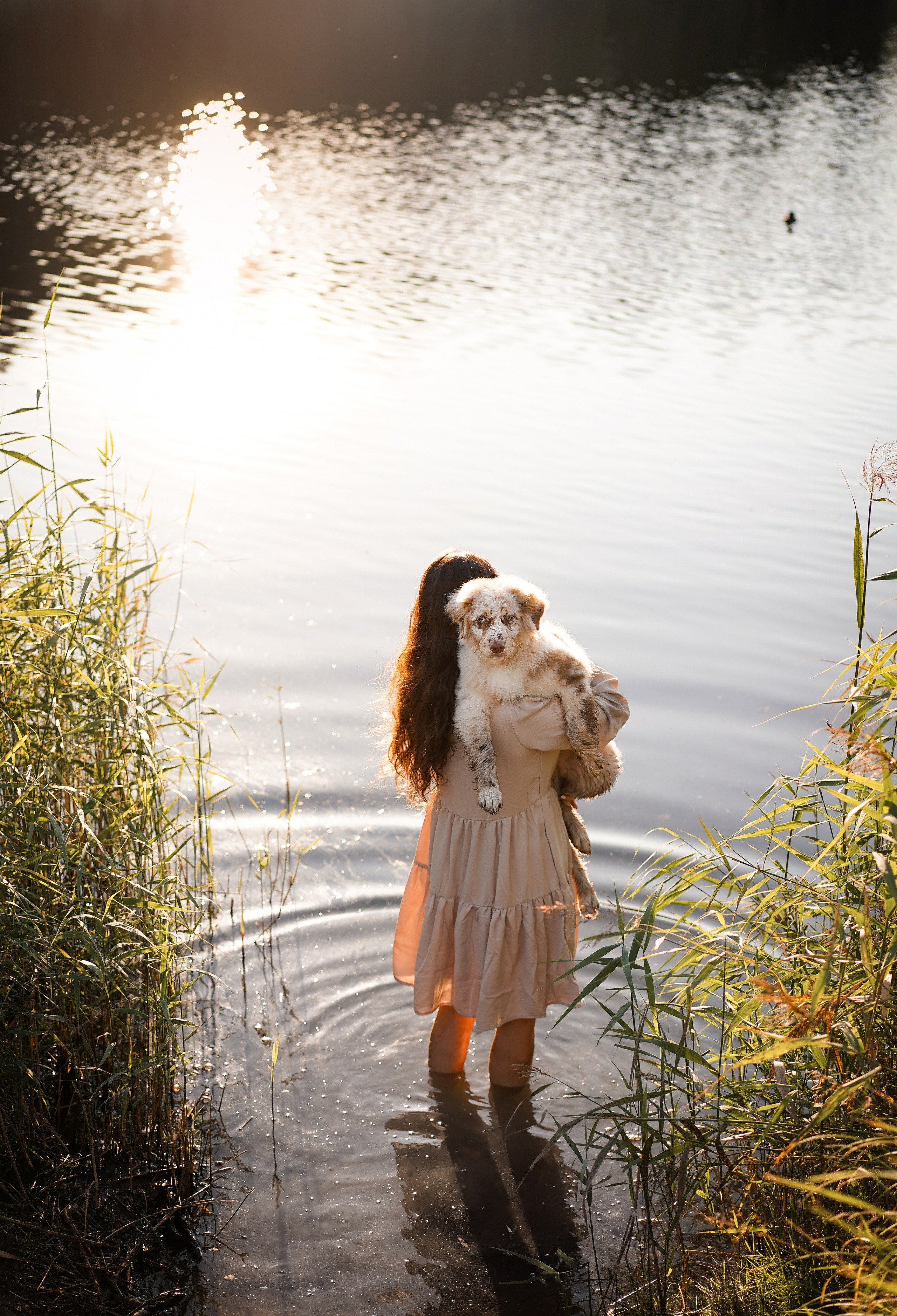 Катя Сэнди и Рокки. Фотограф-анималист в Санкт-Петербурге Яна Мартынова