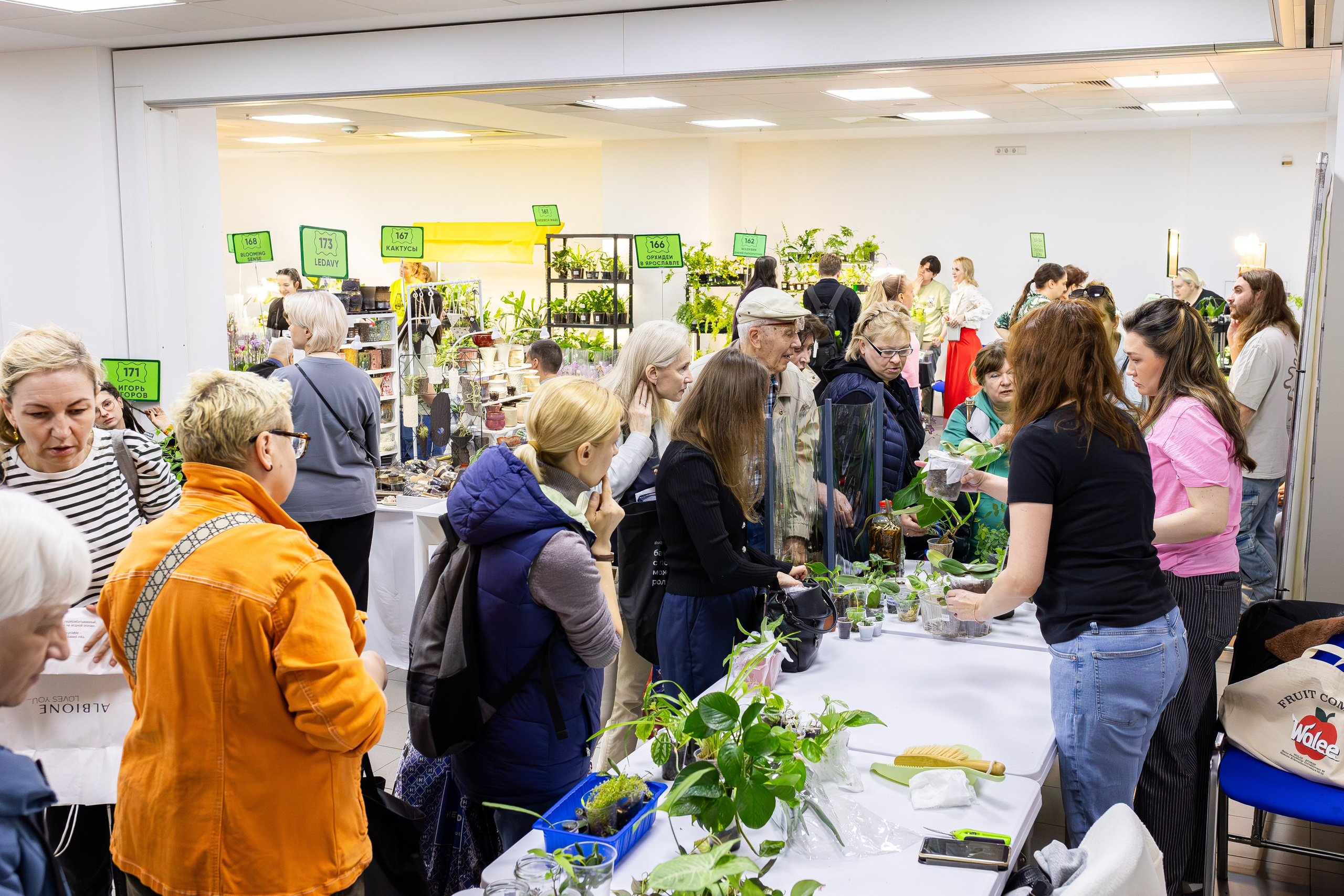 Орхидиум май 2025. Александра Куликова фотограф, Москва