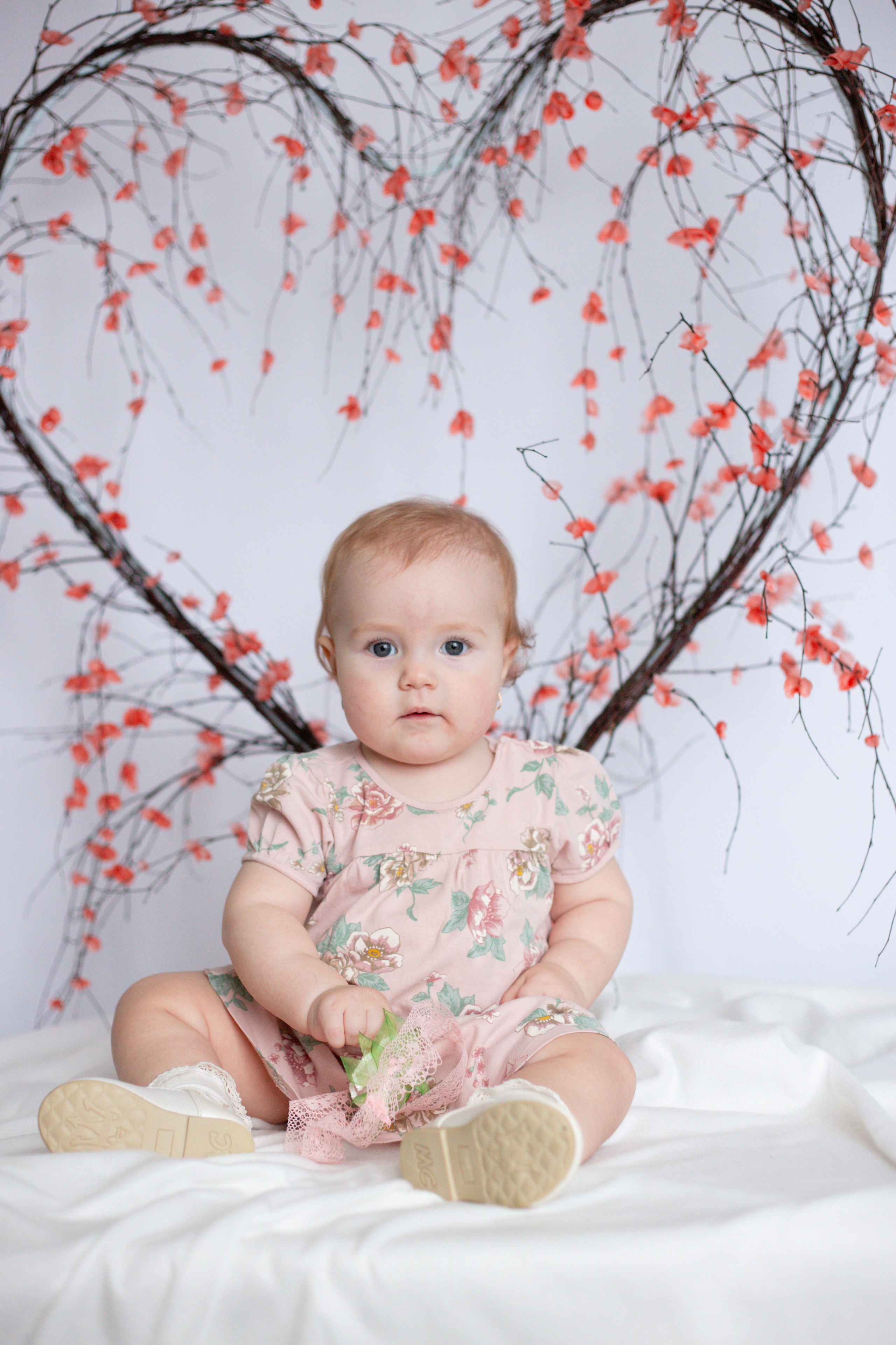 Сердце (14 февраля)