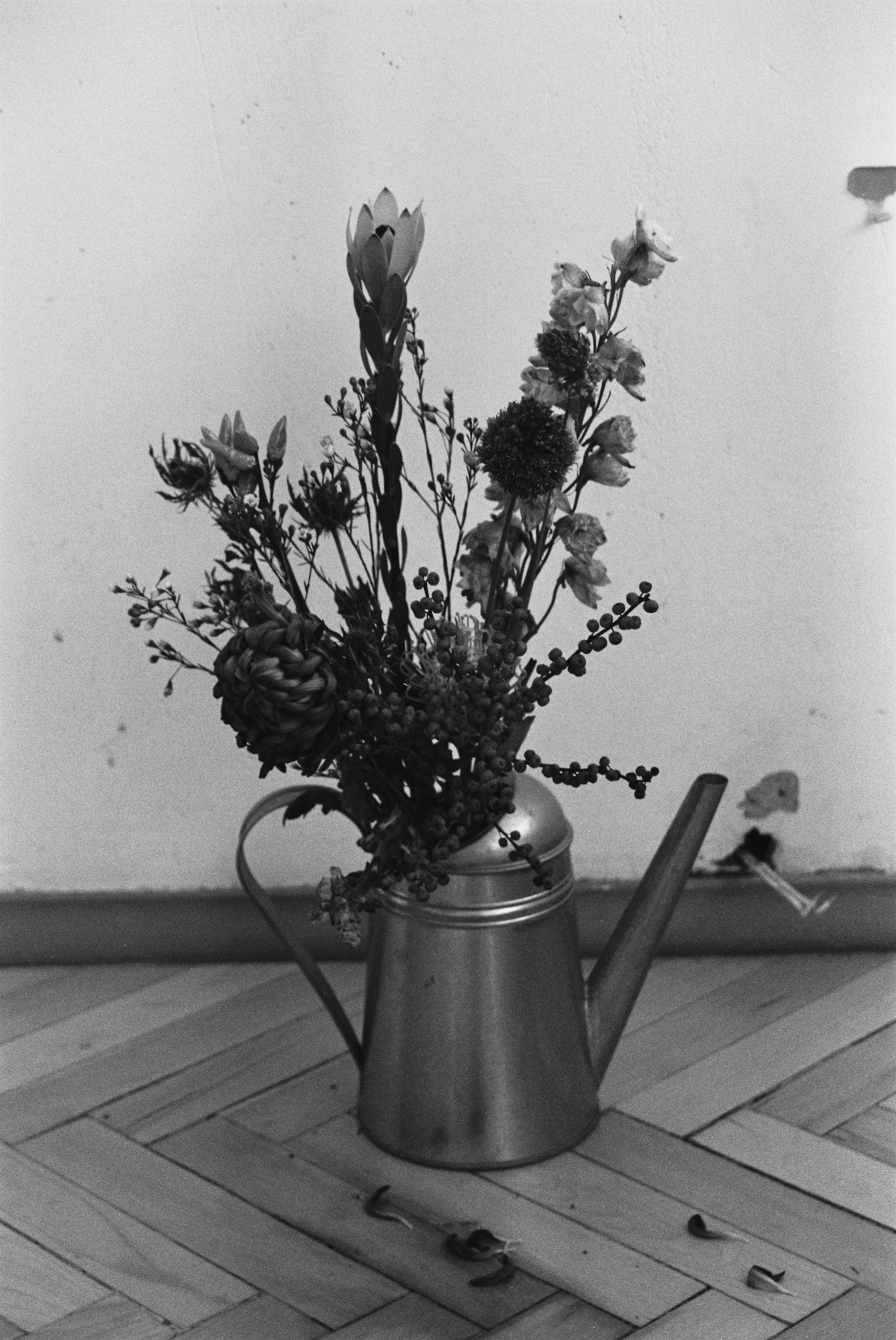 Репортажный и портретный фотограф в Москве Анастасия Нетунаева