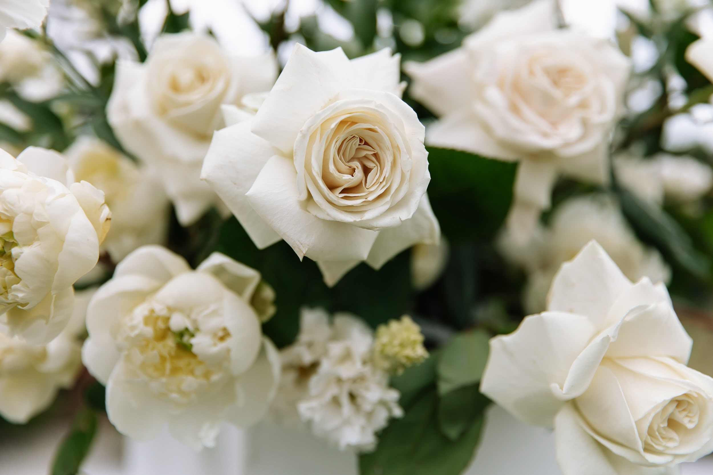 8.06 Стас и Света. Свадебный организатор Екатеринбург