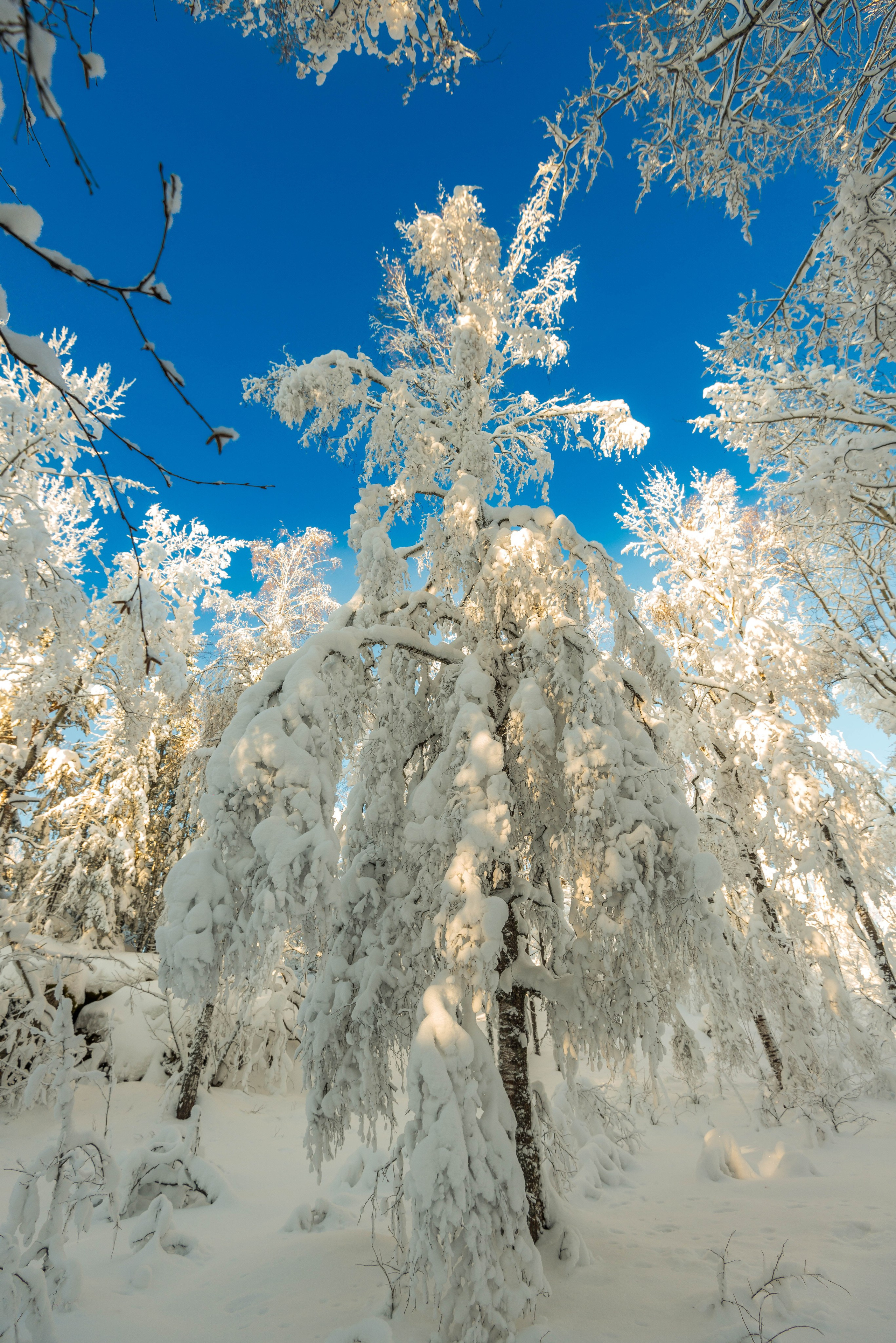 Таганай Семибратка, Парк Бажова, ледяной фонтан 06.01.2024. Свадебный фотограф на Урале Виктор Соколов