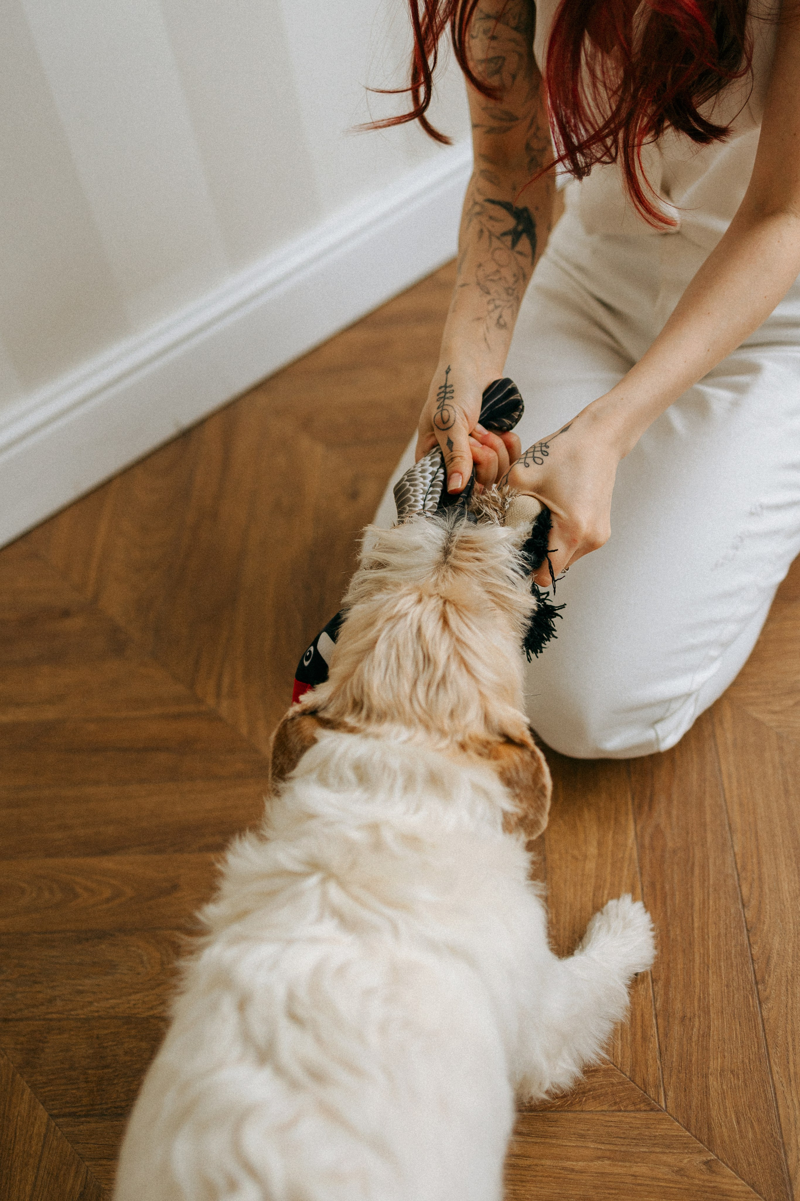 Цунами, Теон и Женя. Фотограф анималист Анастасия Пикей