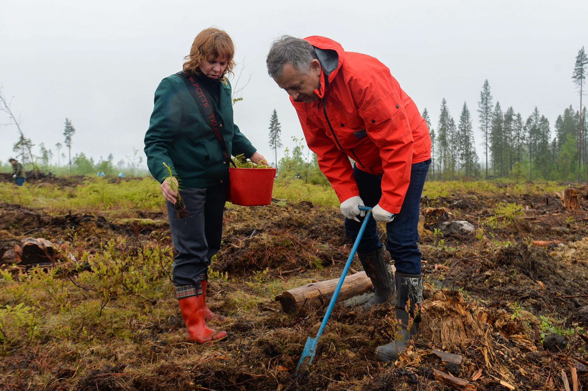 Высадка леса. Документальный фотограф Сергей Вдовин