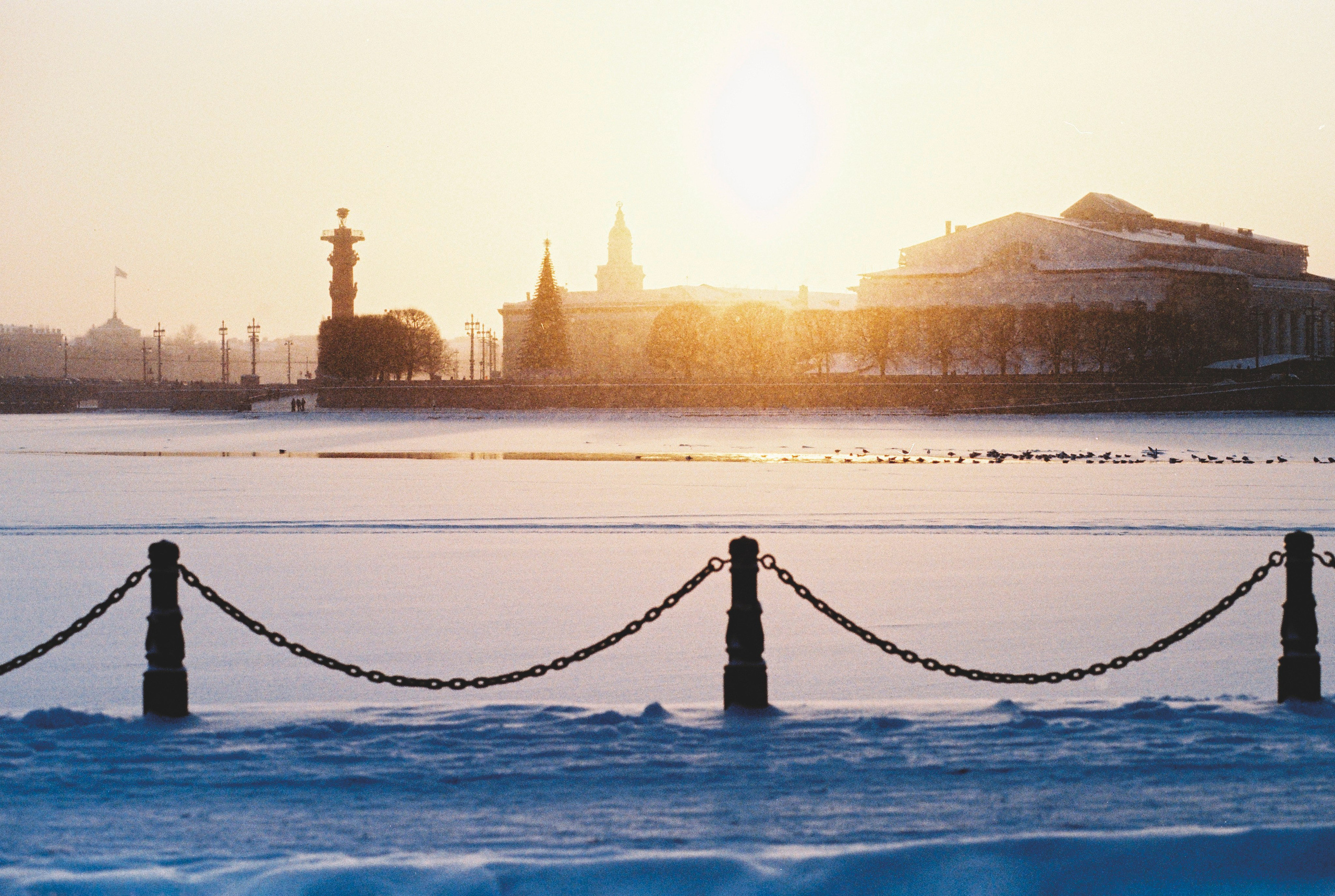 Фотографии цветные. Свадебный и семейный пленочный фотограф в Петербурге Истомина Ирина