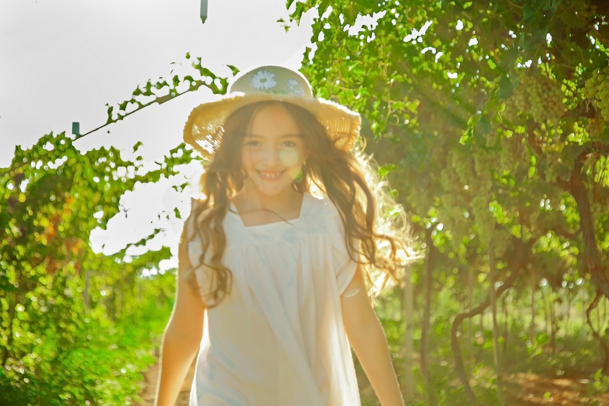 ВИНОГРАДНИКИ. Фотограф в Крыму