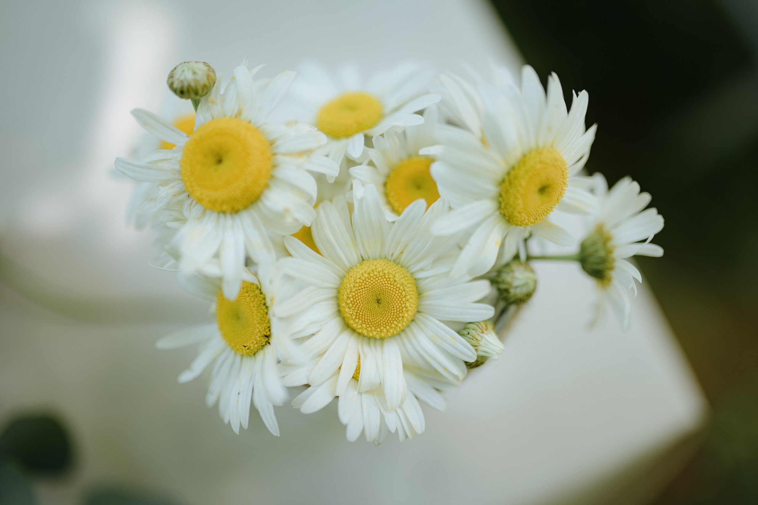 Лето. Цветы, вазы. Эстетика. Мск. Свадебный фотограф Константинова Елена