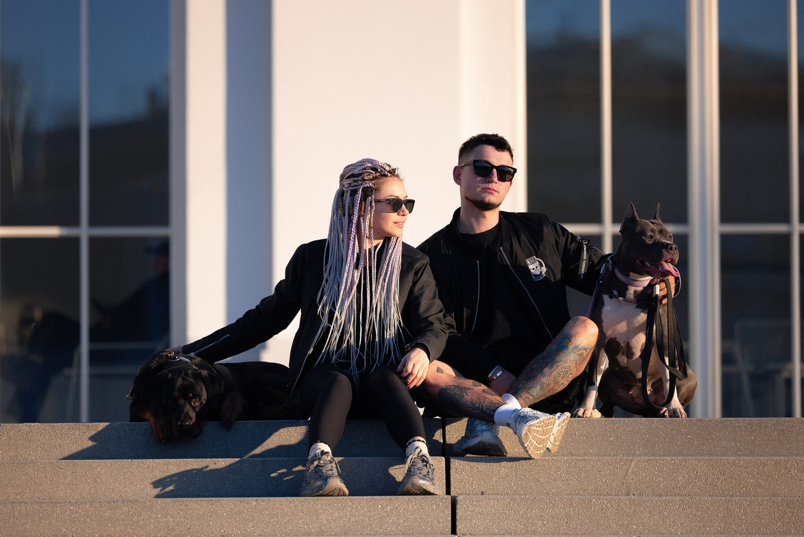 Катя, Леша, Трой и Лея. Фотограф и видеограф анималист Аганина Дарья