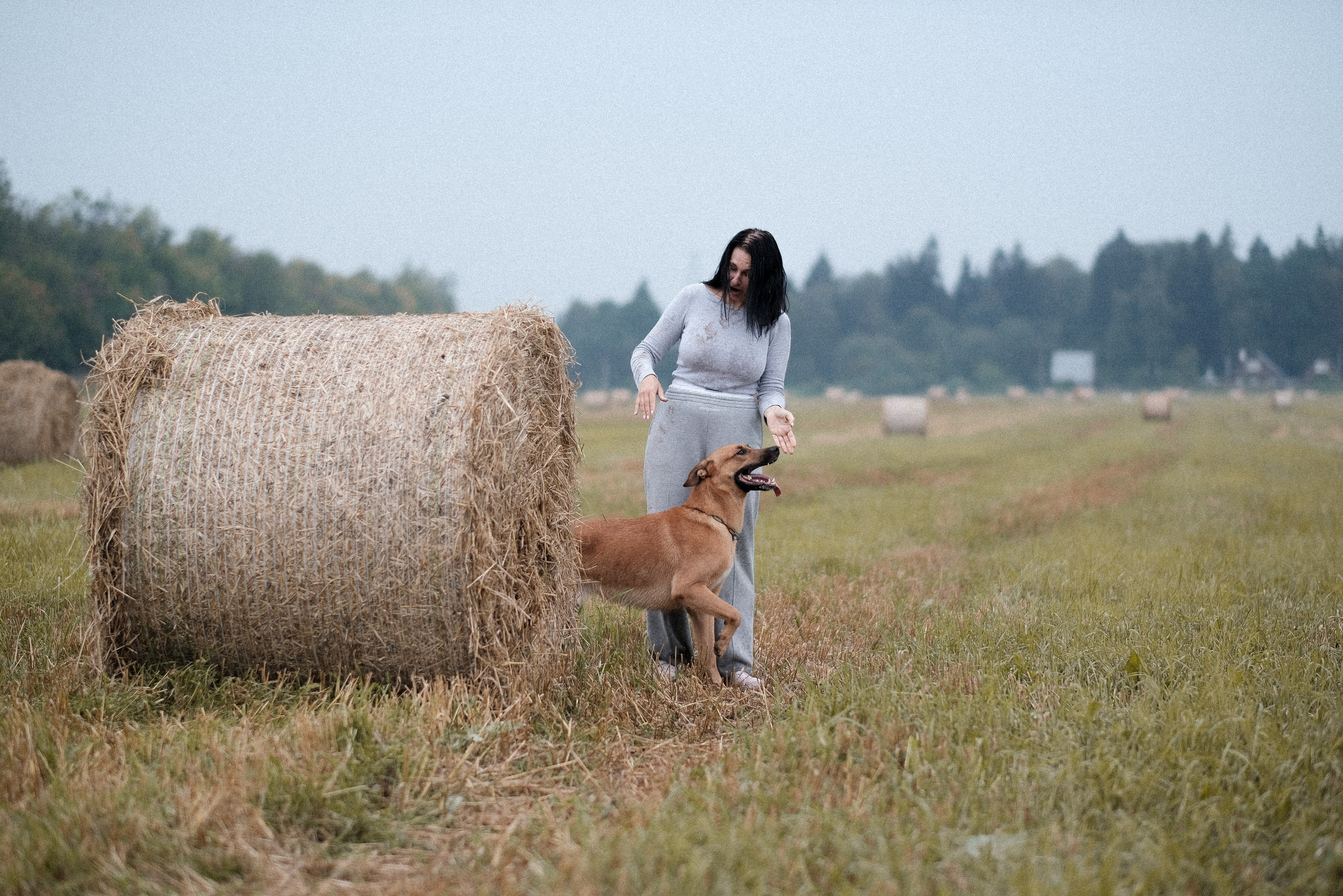 Тео и Оля. Фотограф и видеограф анималист Аганина Дарья
