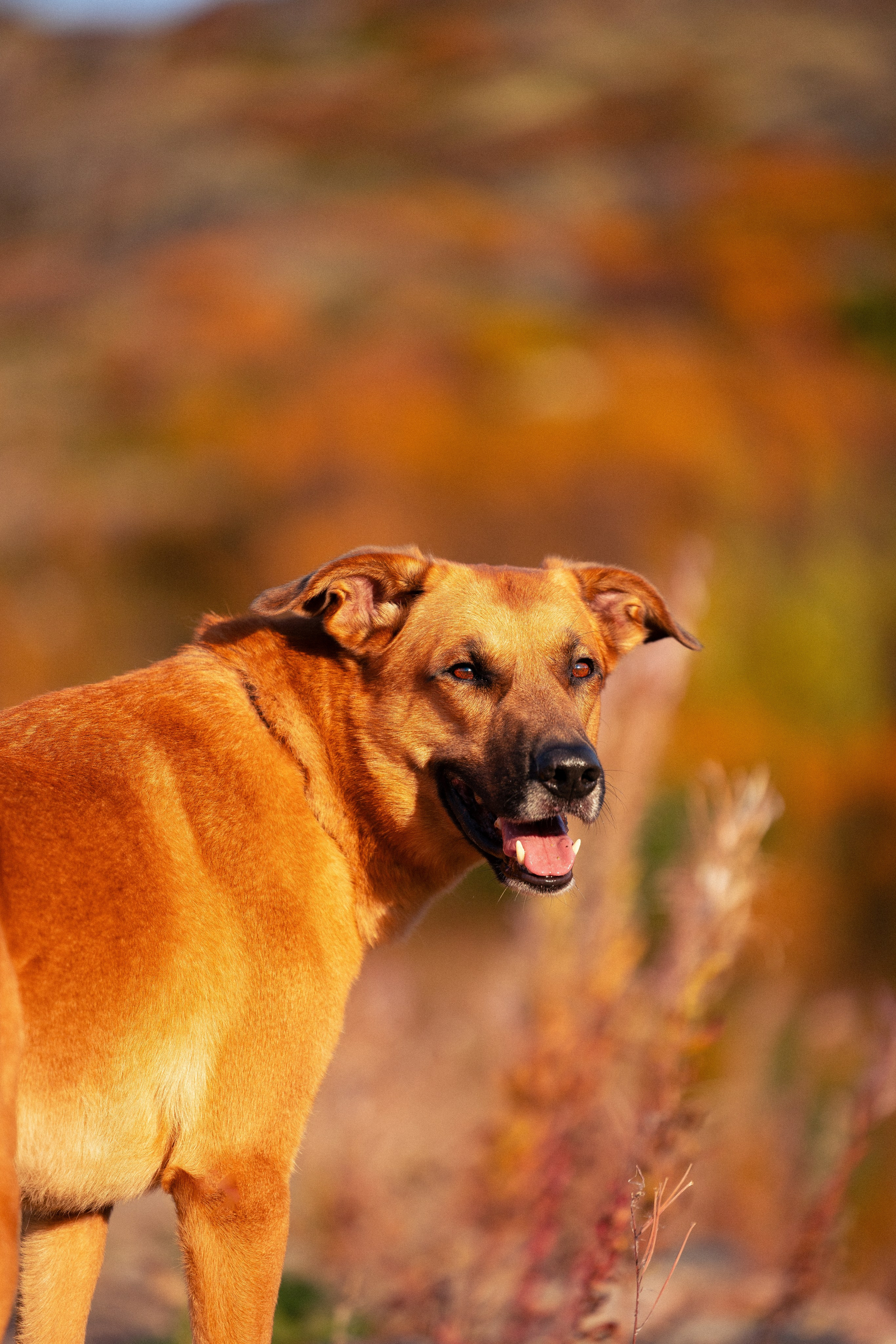 Кольский. Фотограф и видеограф анималист Аганина Дарья
