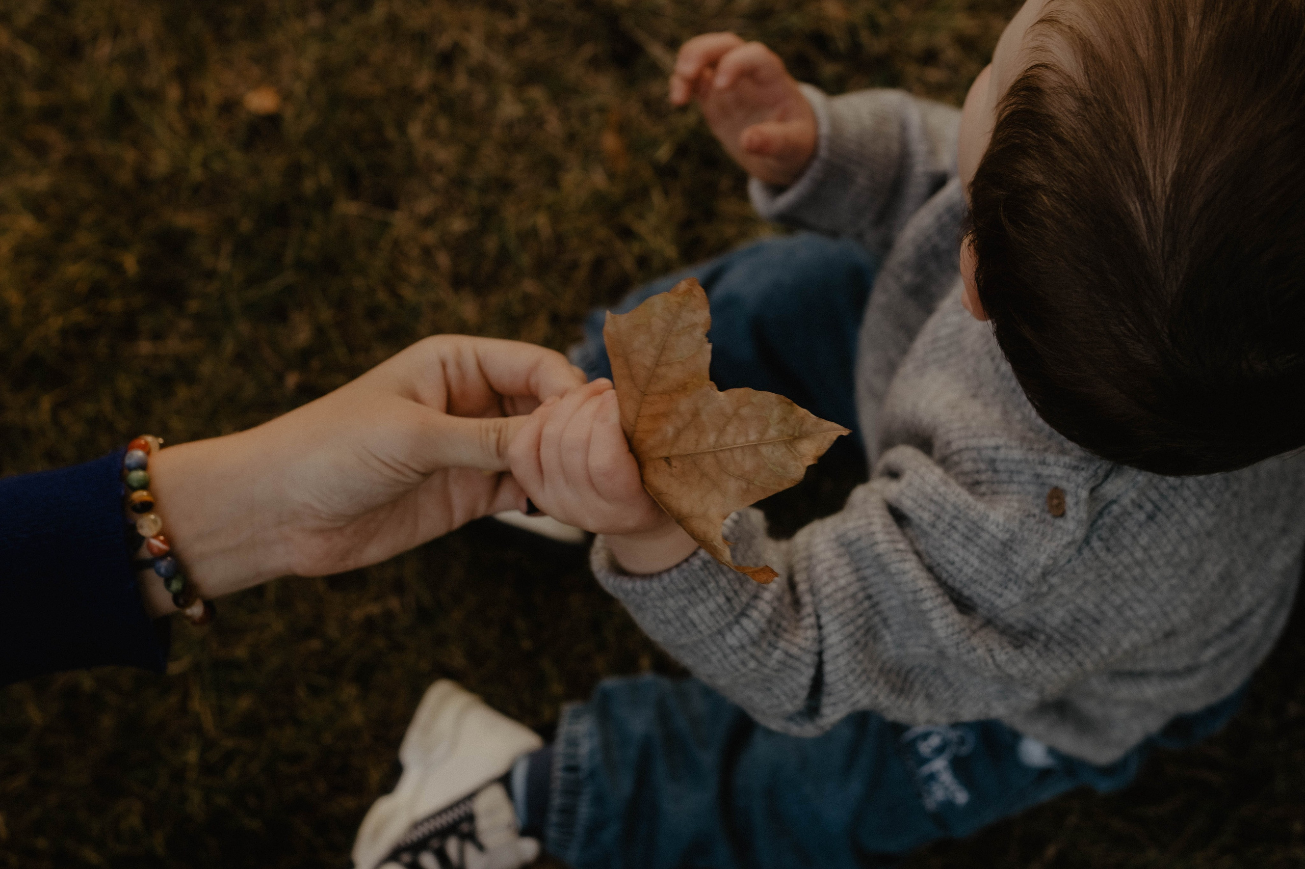 Ксюня, Ваня, Марк и 🐶. Свадебный фотограф Оля Григунова