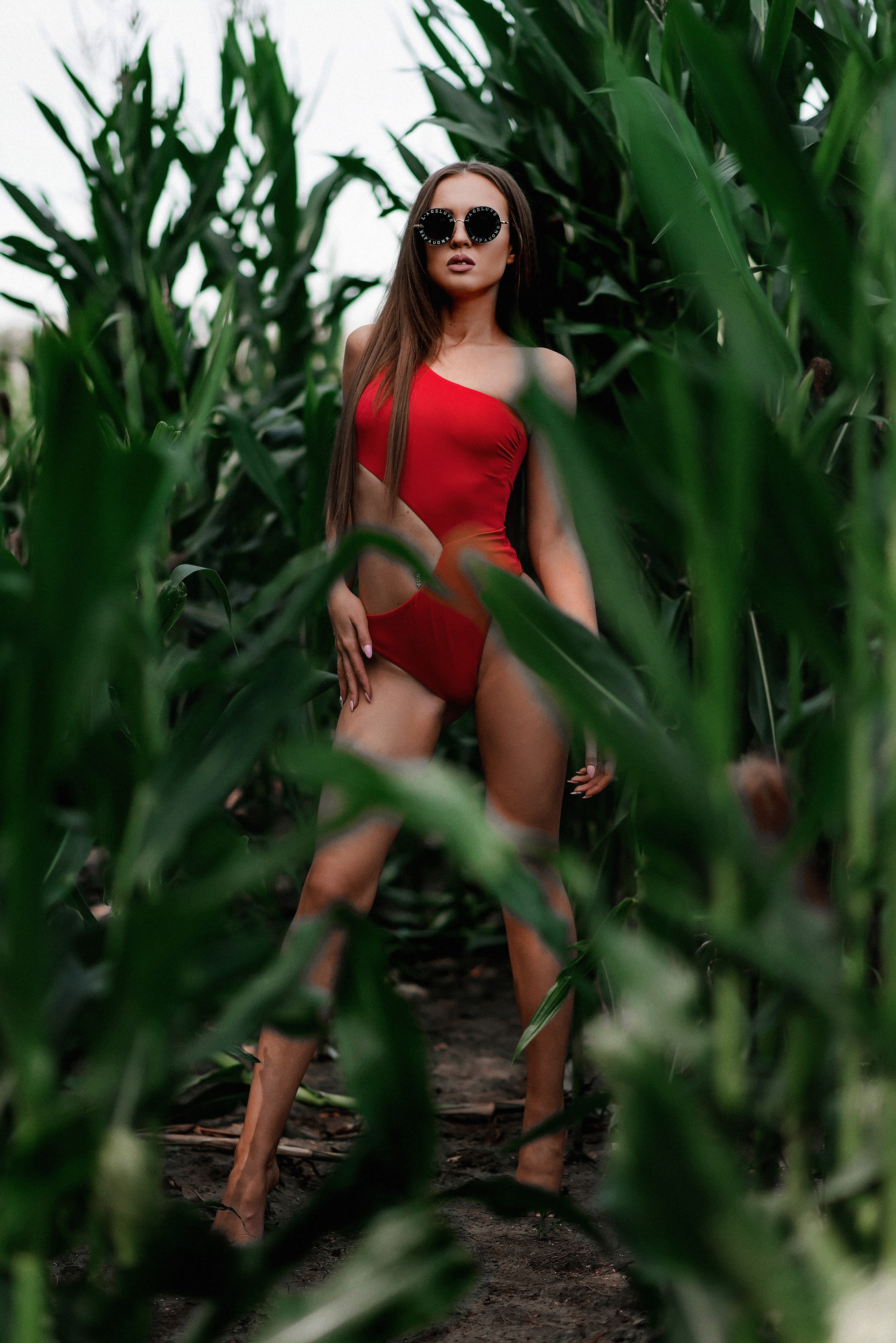 Катя съемка в кукурузе. Павел Орлов — фотограф в Брянске