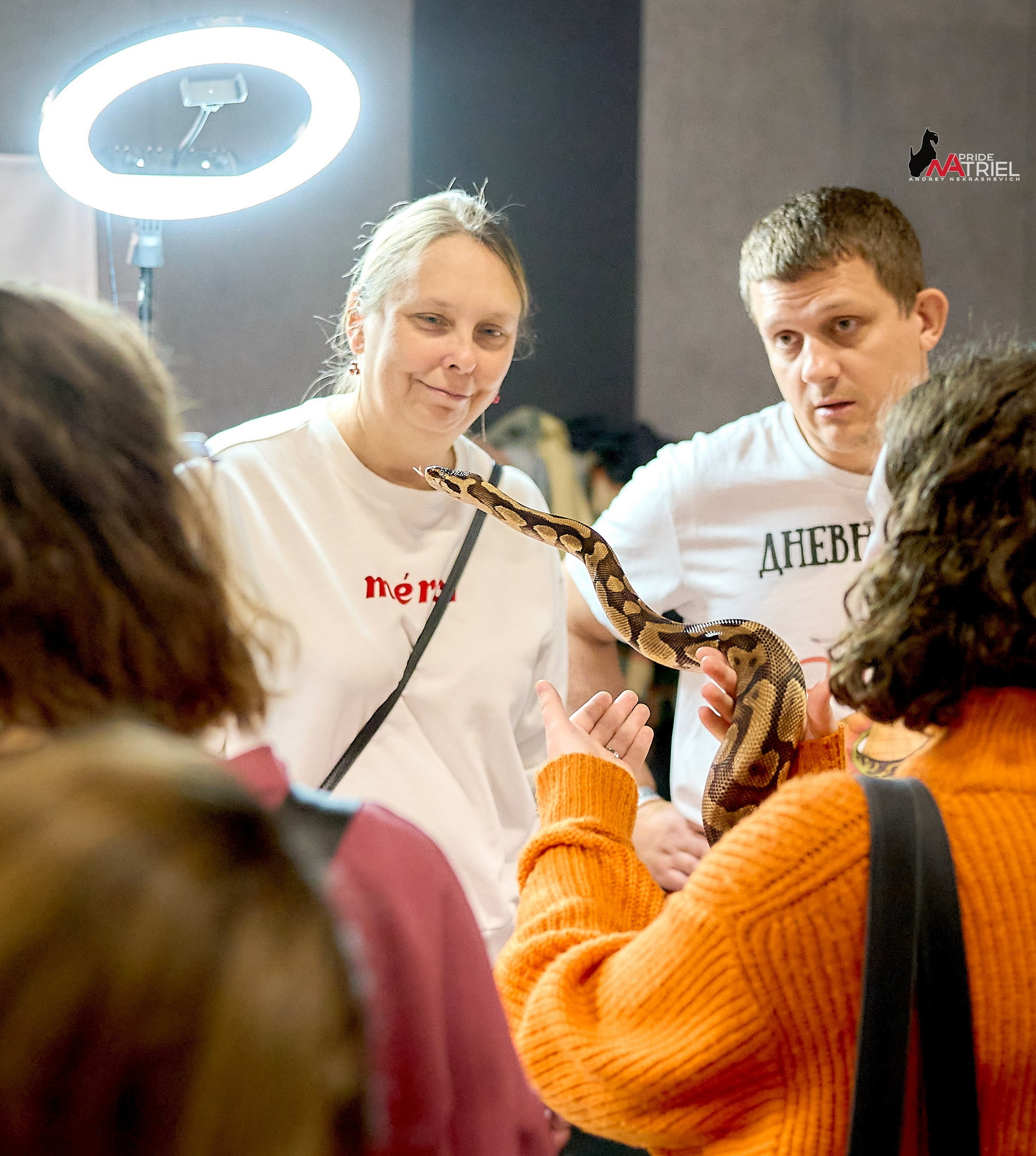 Выставки животных — галерея NATRIEL