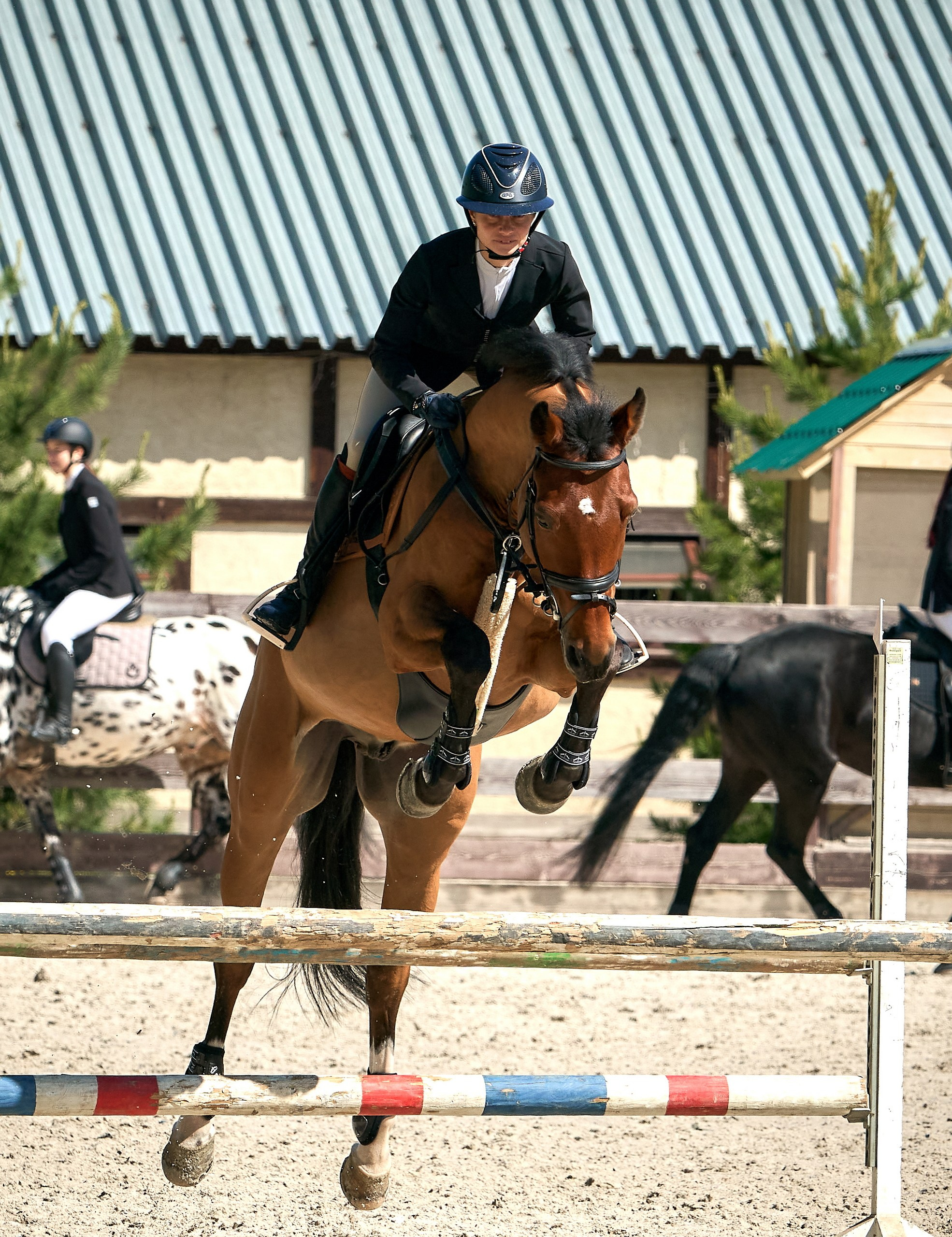 Соревнования на лошадях — галерея NATRIEL