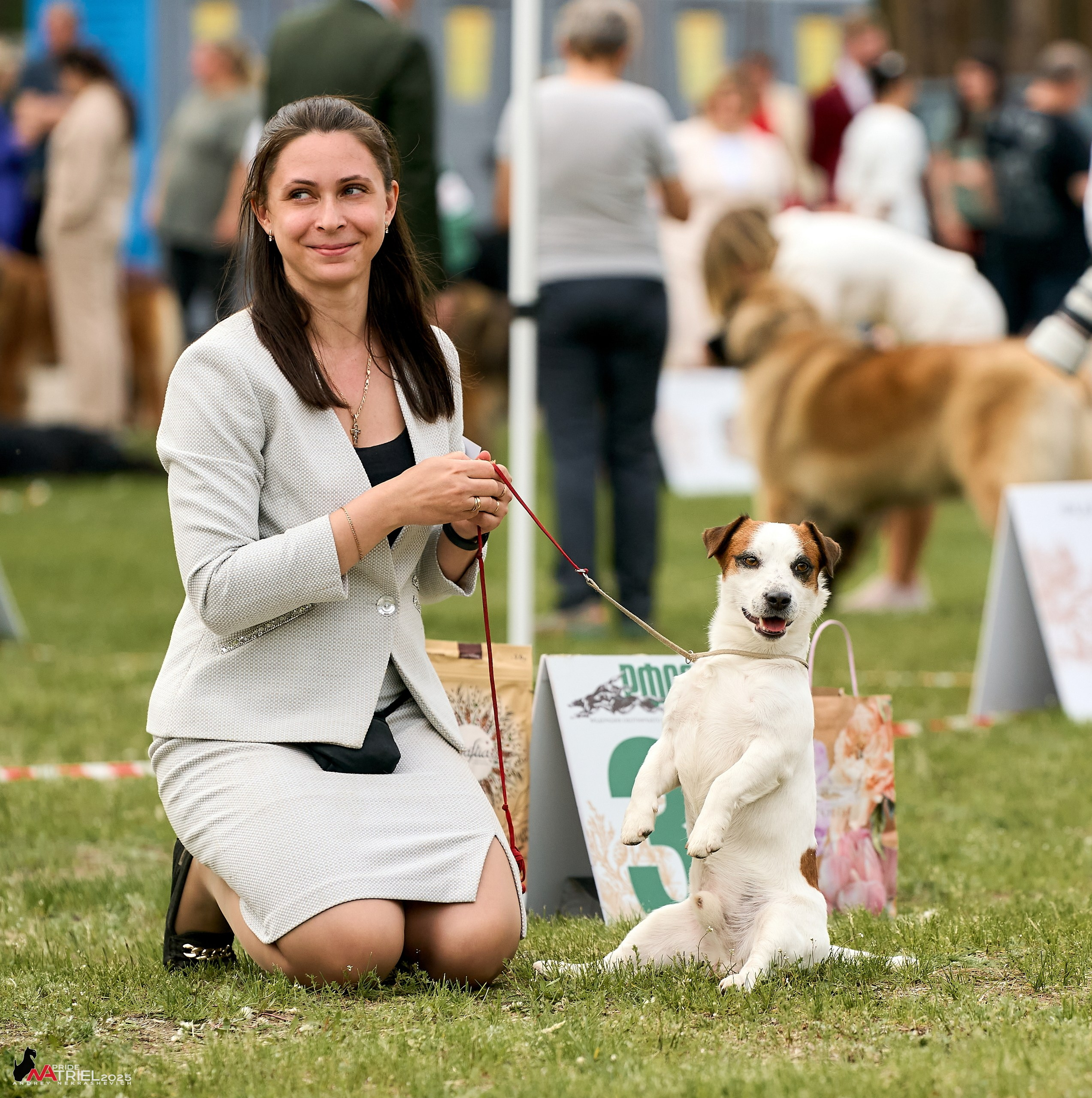 Выставка собак Суздаль-Владимир