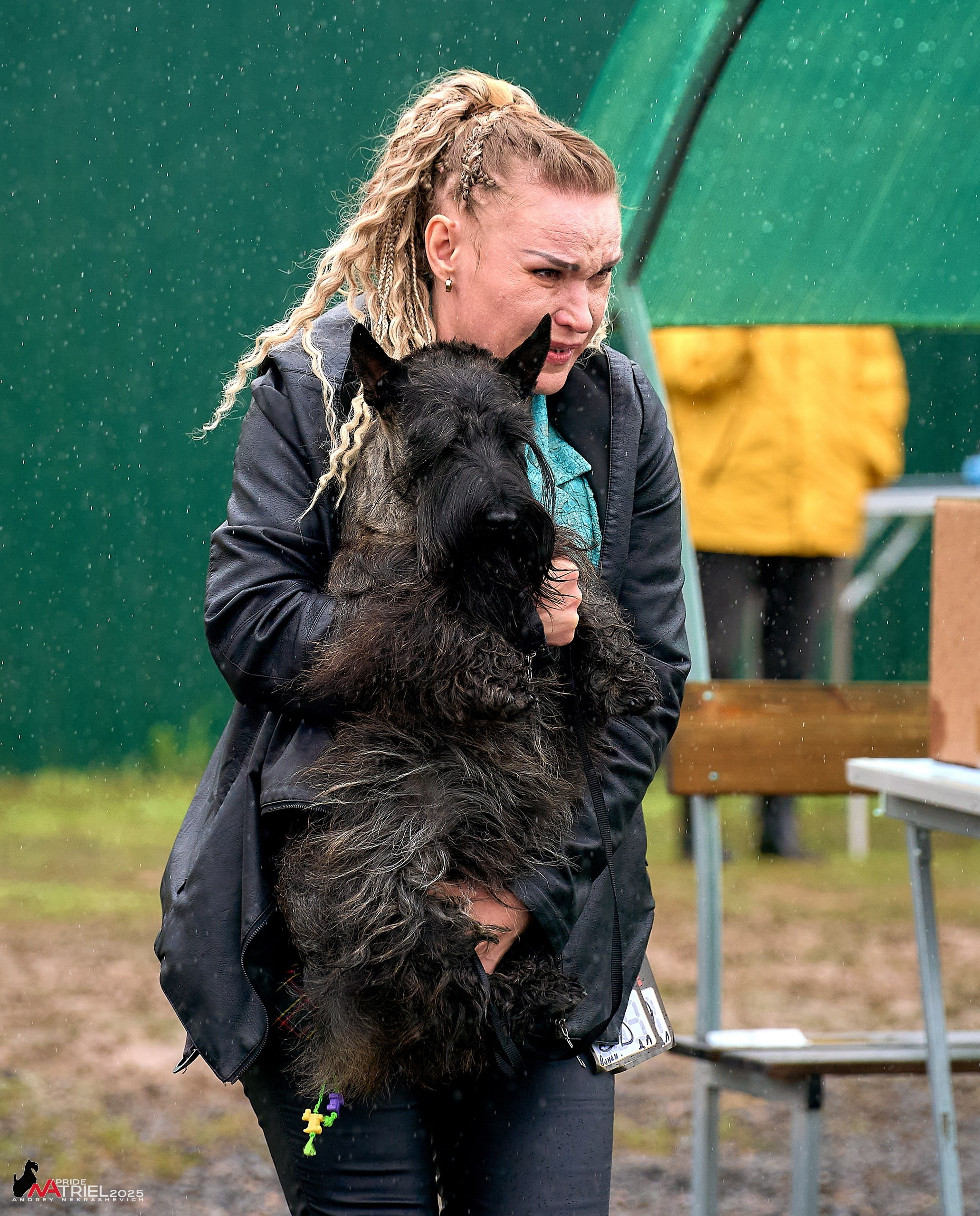 Репортаж с выставки собак