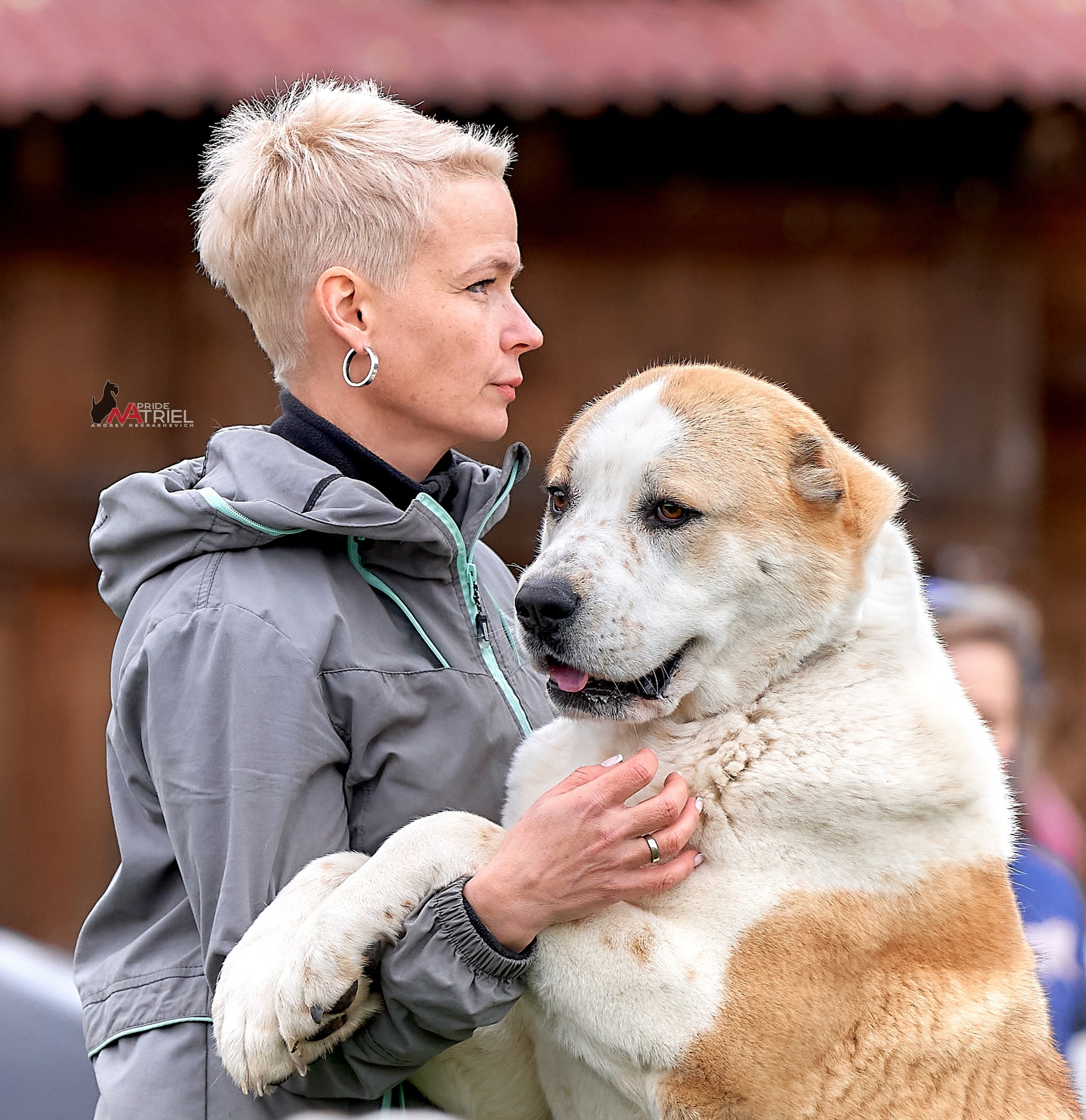 Работа в рингах — галерея NATRIEL