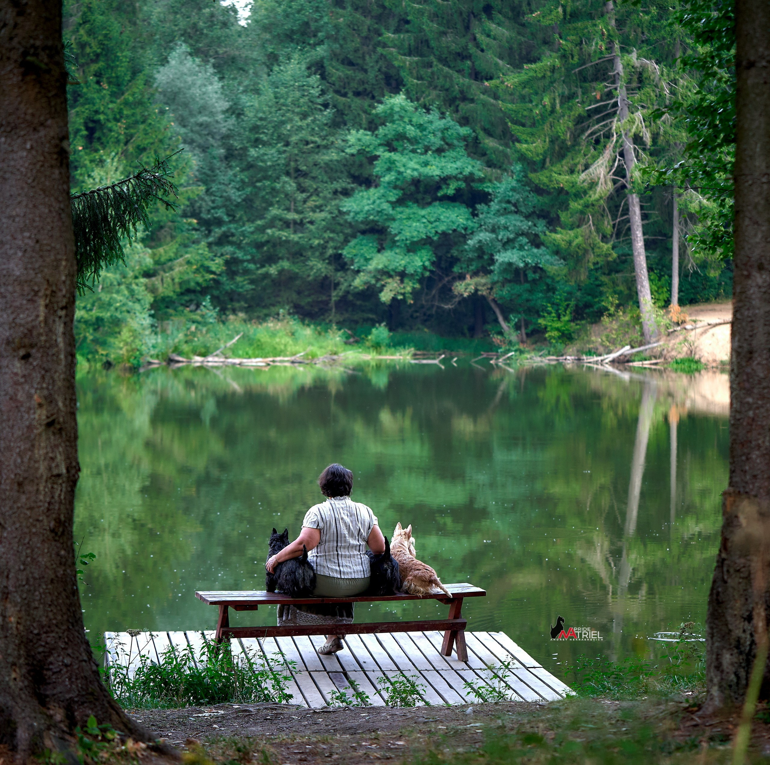 Собаки и Люди — галерея NATRIEL