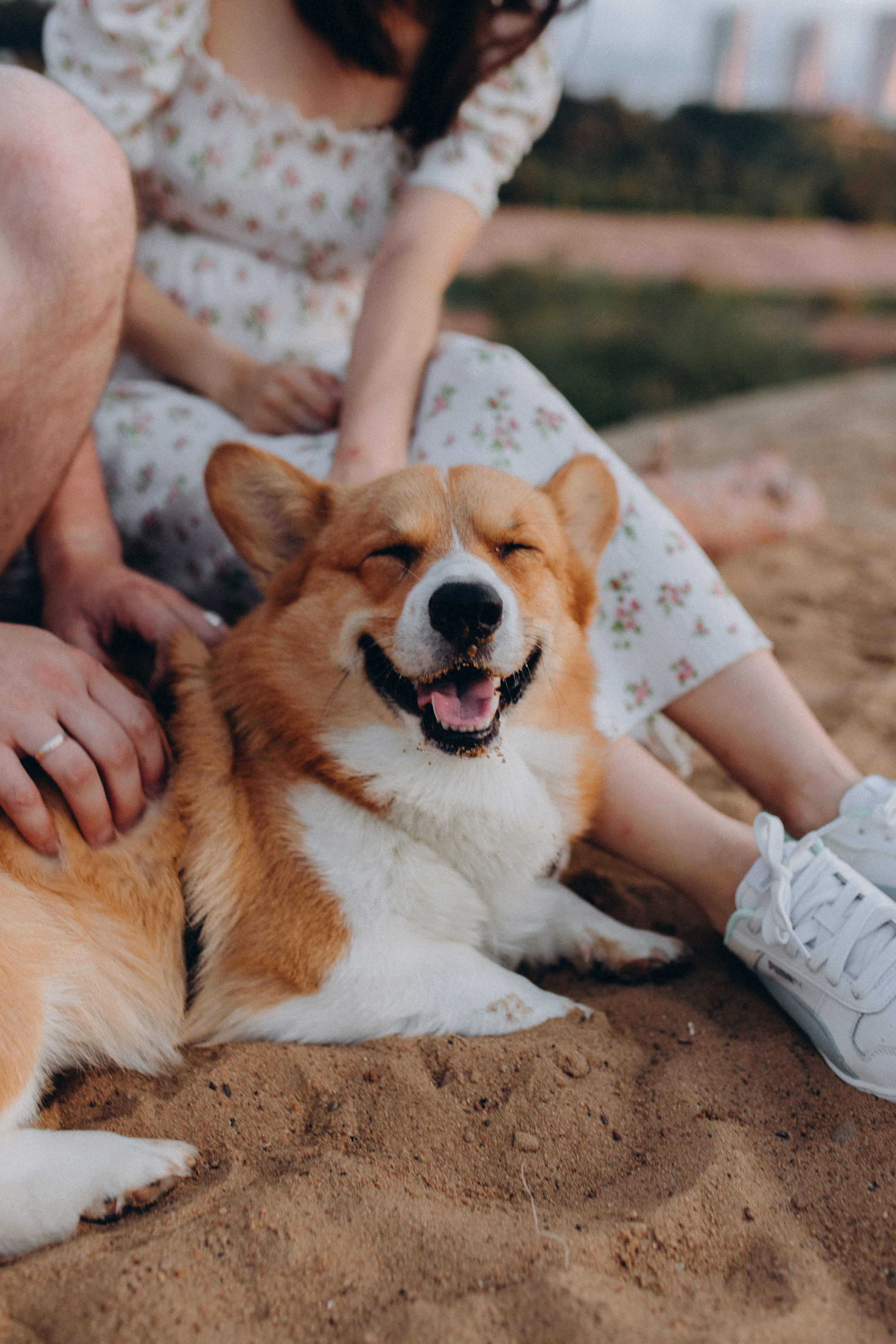 Эля, Денис и Сэми. Фотограф в Нижнем Новгороде Лебедева Елена
