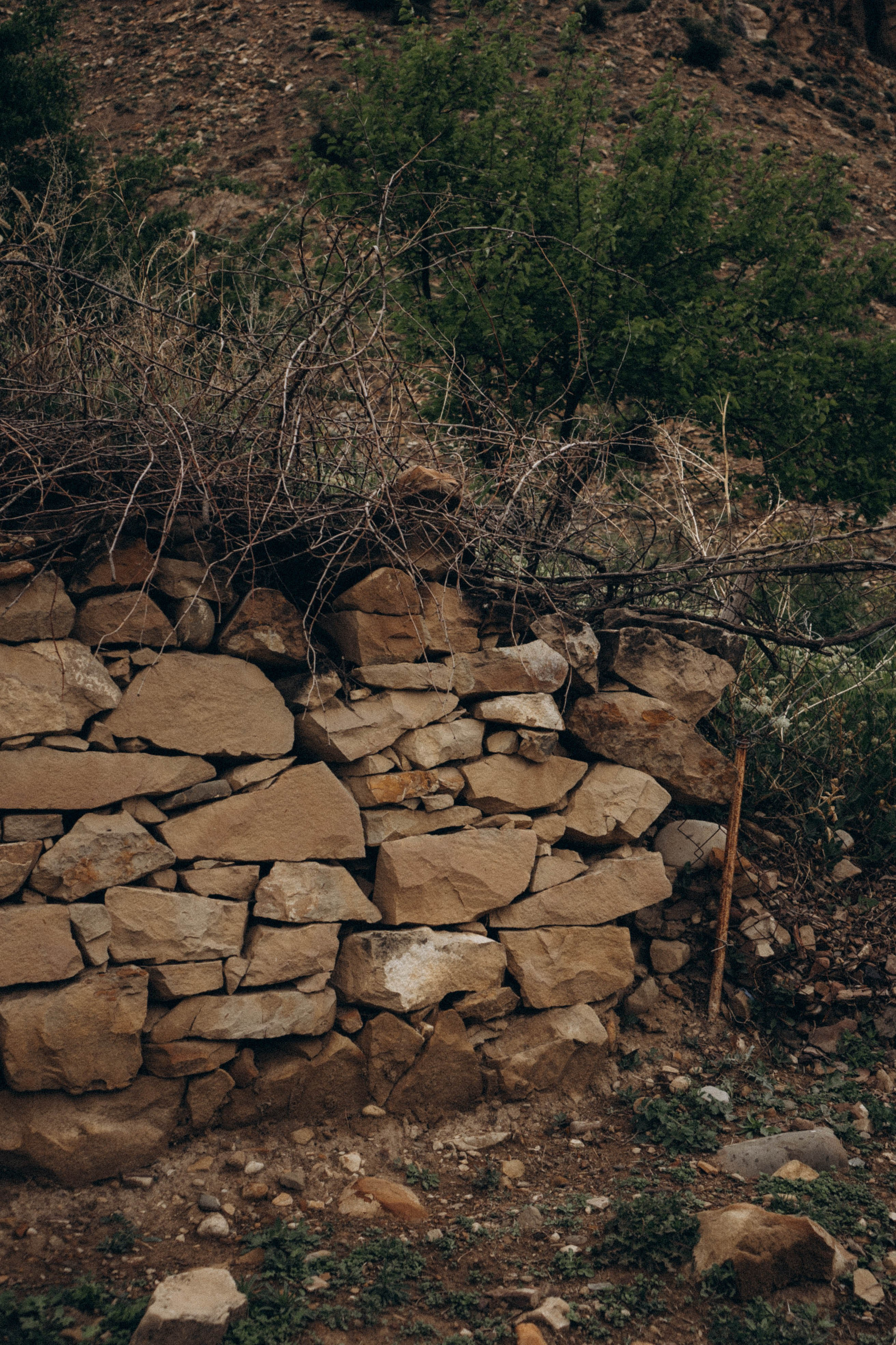 Кавказ. Профессиональный фотограф, Санкт-Петербург — Виктория Богомолова