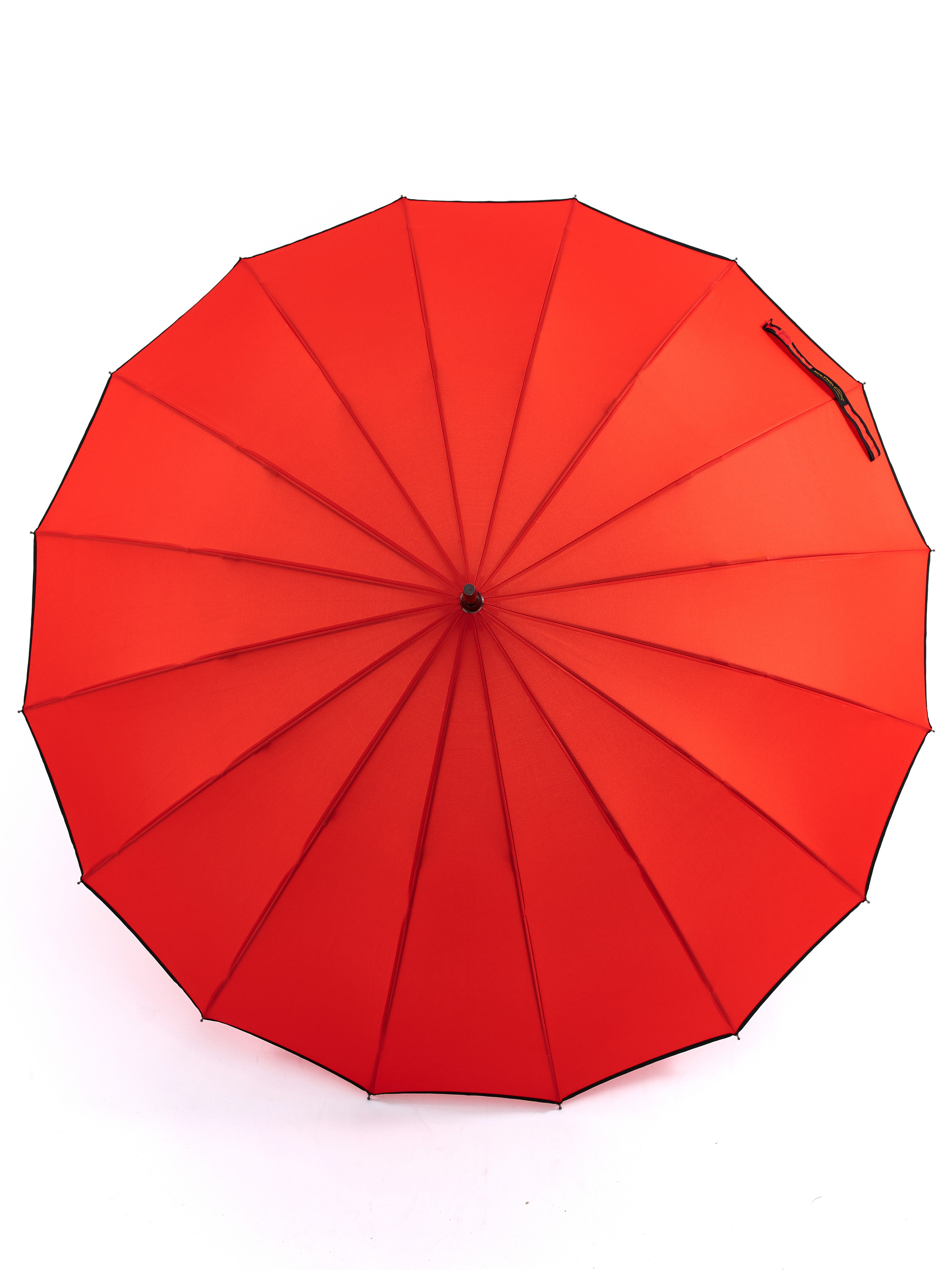 Dolphin. Zubkov Jan Hochzeitsfotograf Deutschland