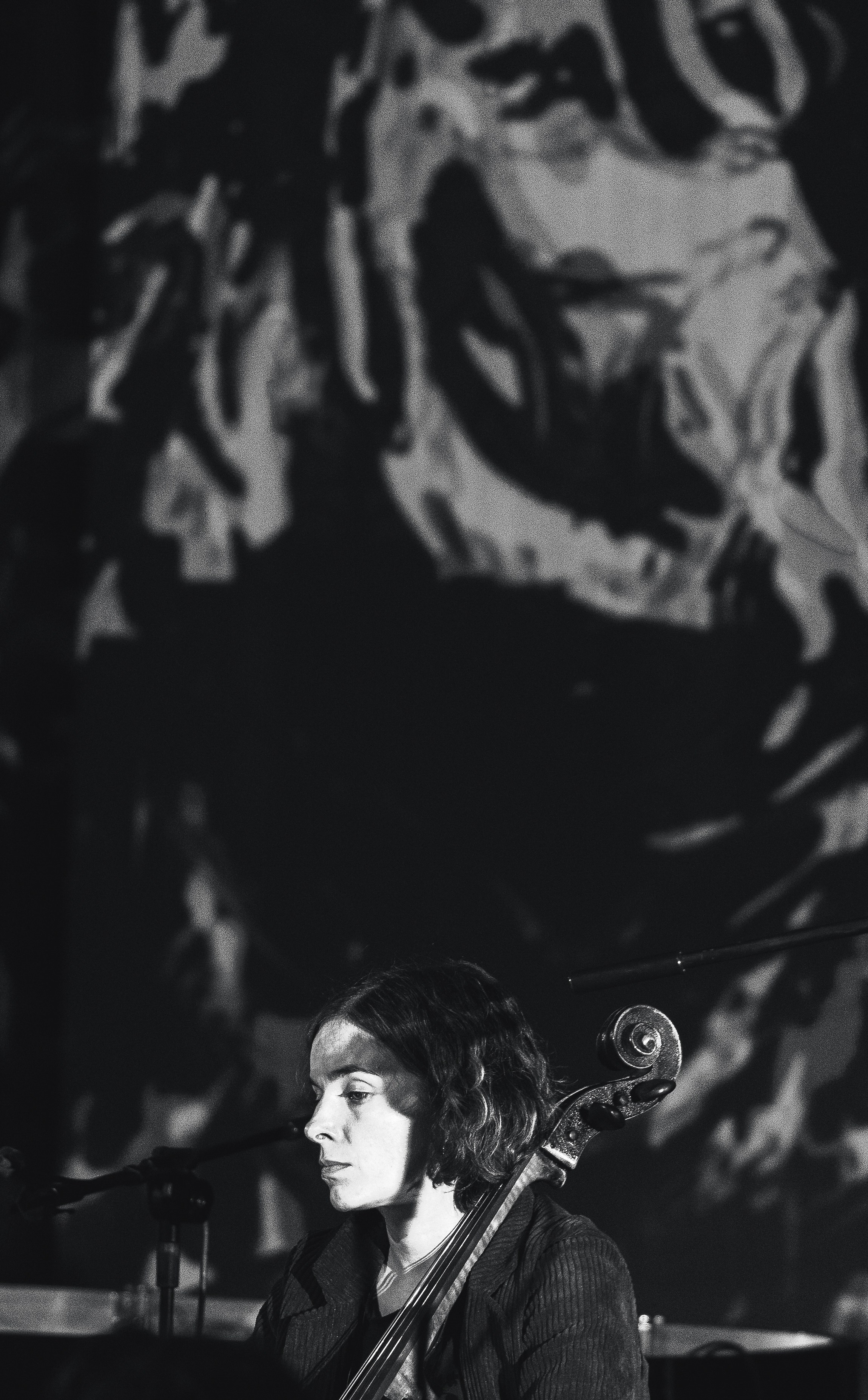 Концерты. Фотограф Антон Баклыков