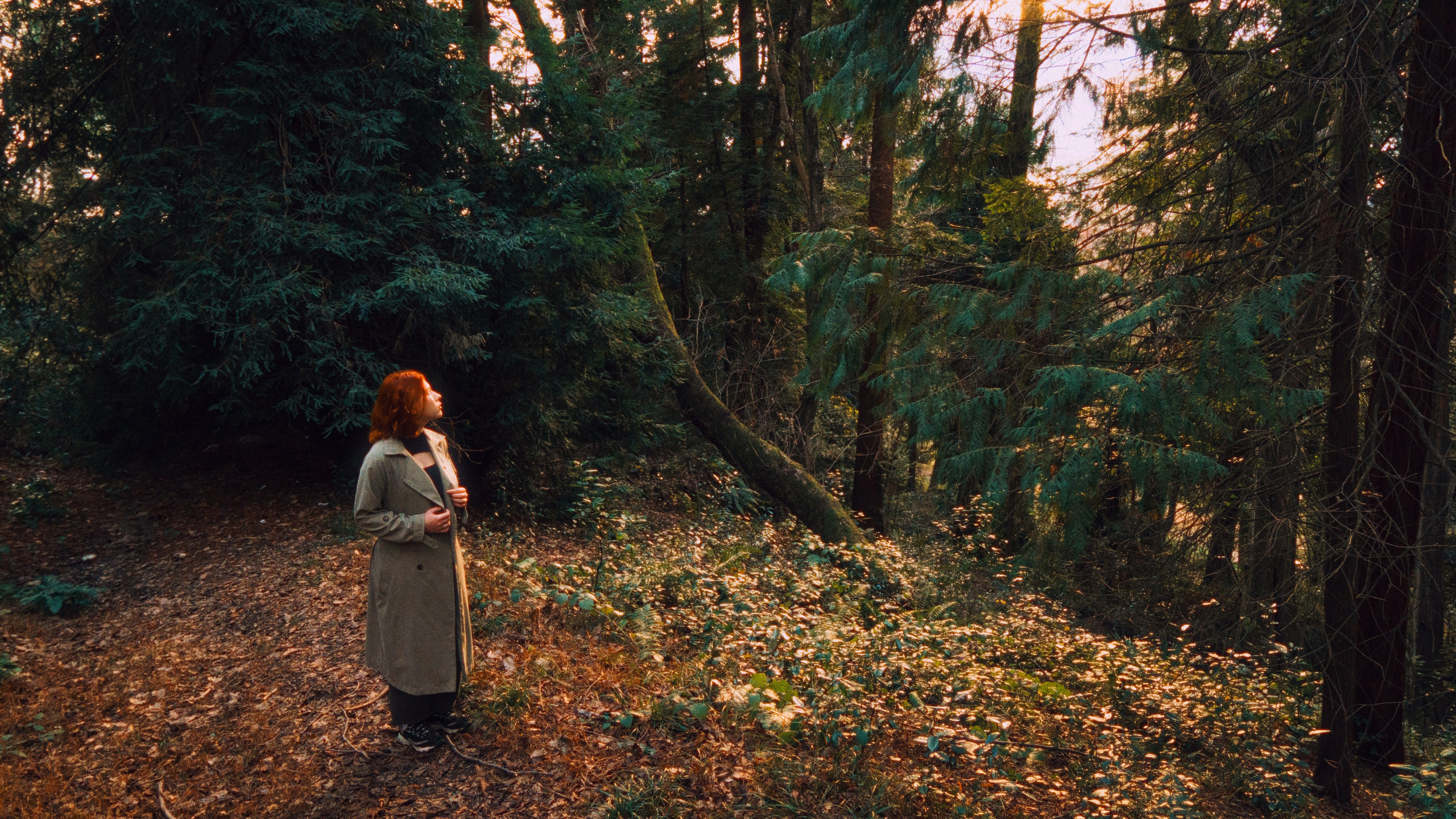 Сочи, дендрарий