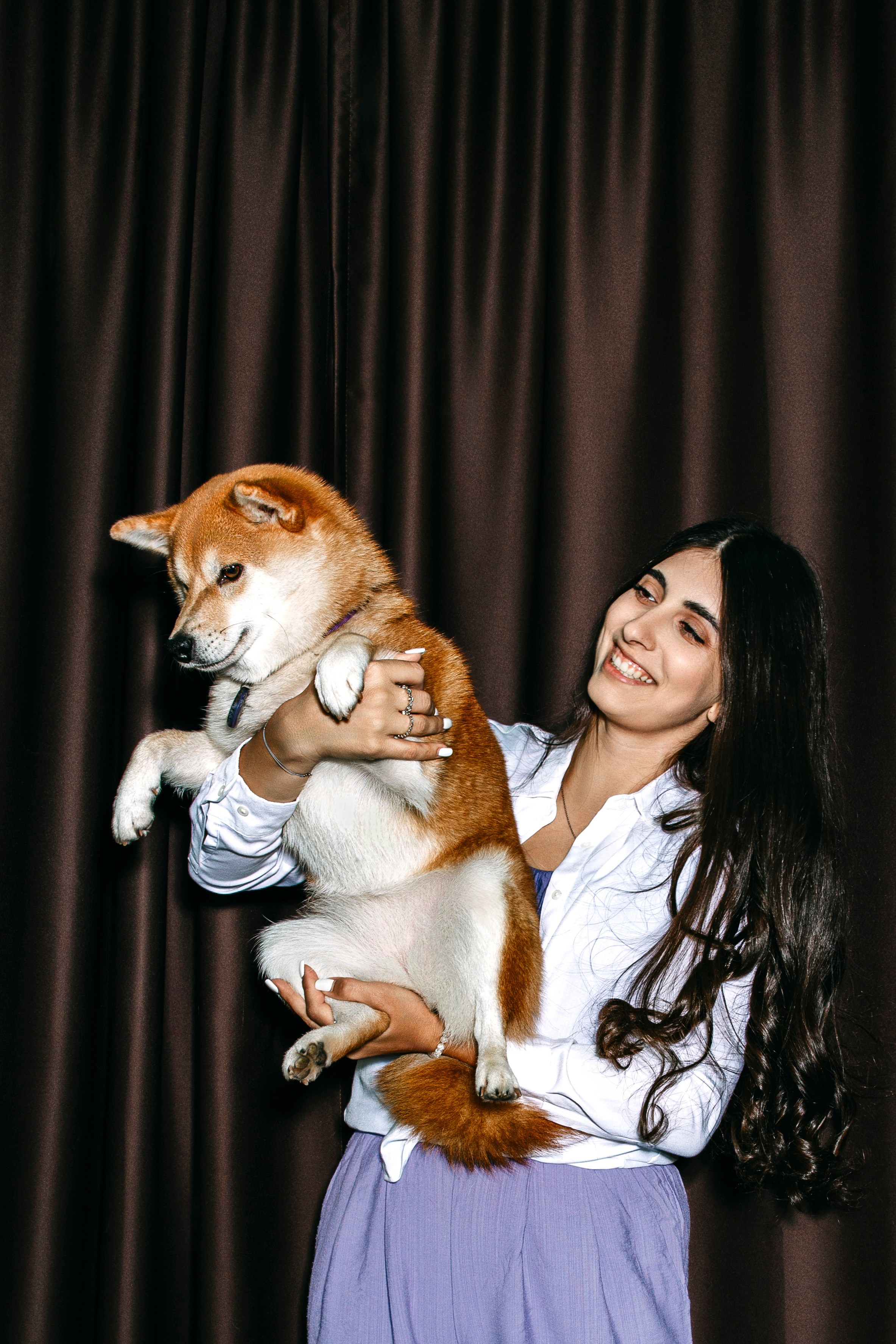 Съемка в студии с собакой. Анастасия Белаш