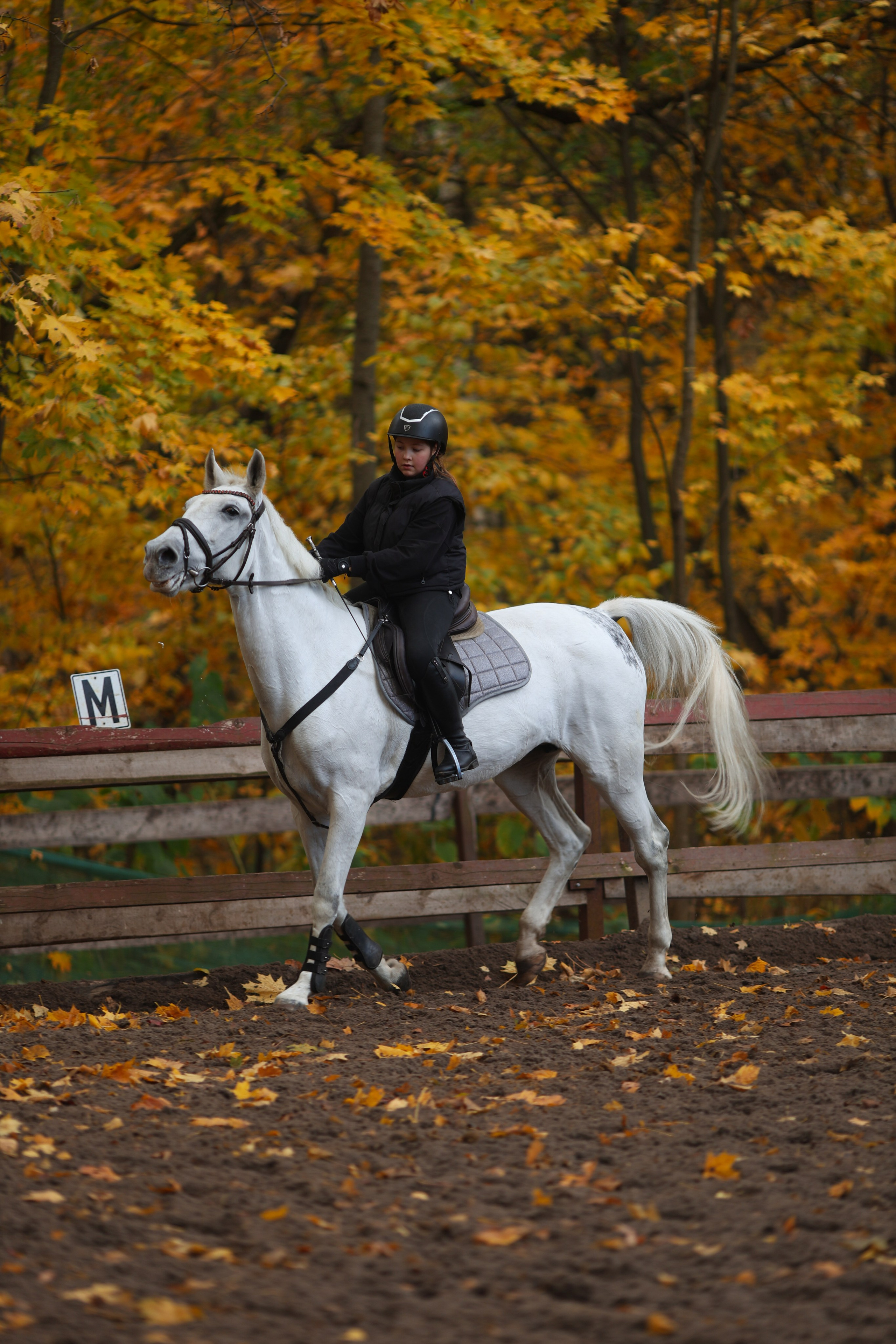 Фотосессия с животными. Фотограф Алина Рошаль. С 2017 года ловлю эмоции и превращаю их в нежные воспоминания для вас в Москве и Подмосковье