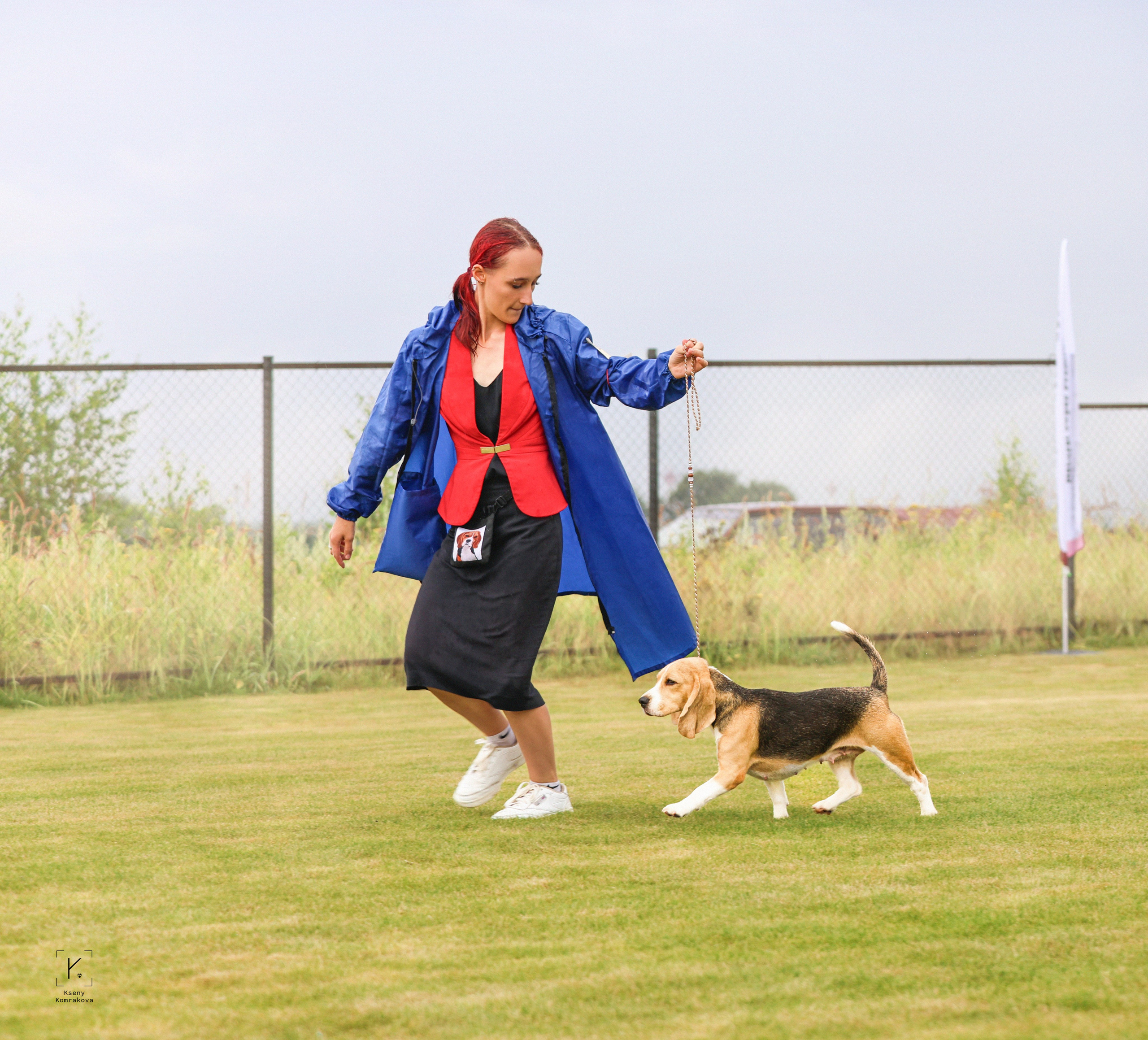 Съемка собак. Анималистика. Репортаж. Индивидуальная съемка